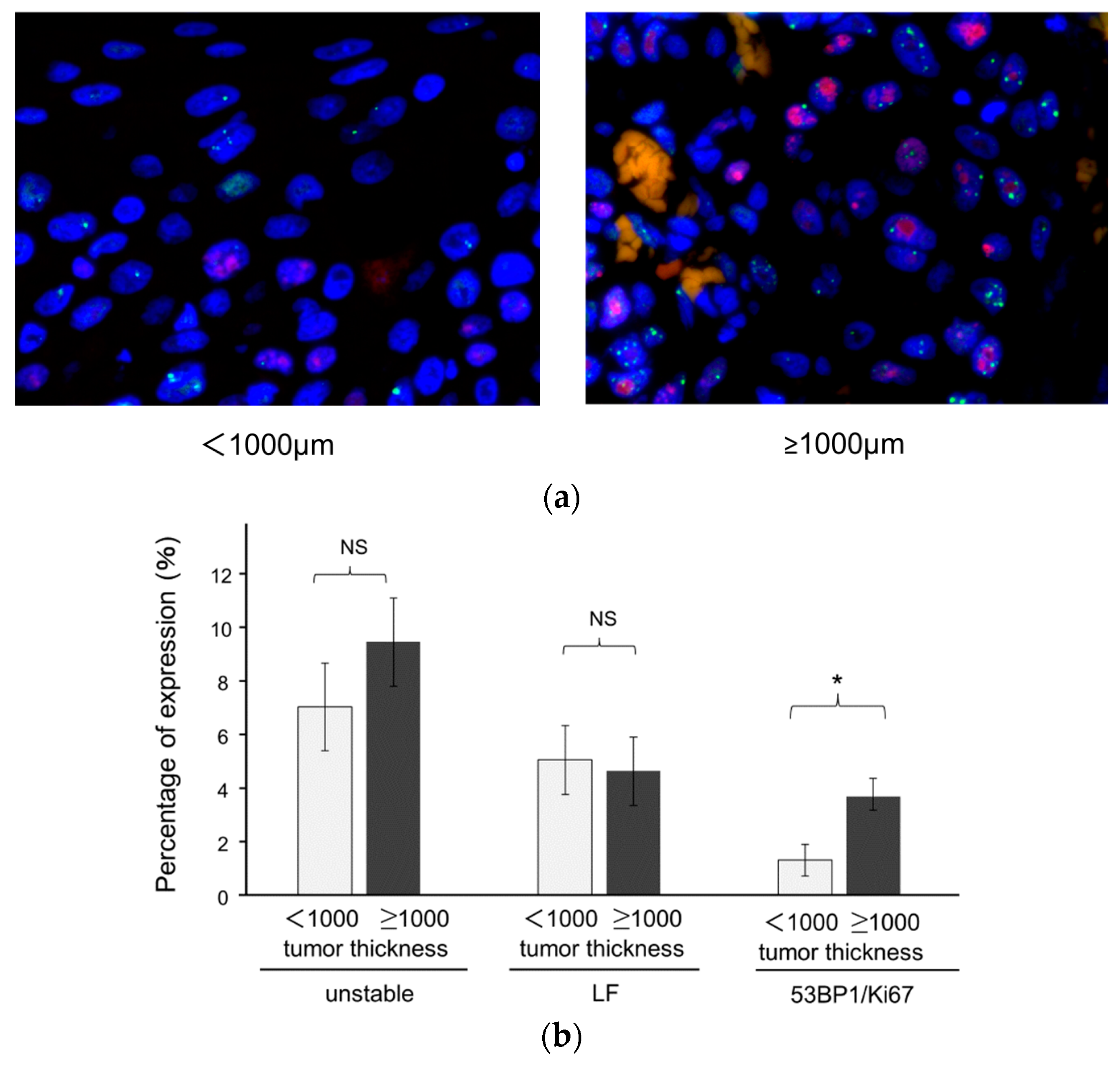 Cancers 16 02987 g005