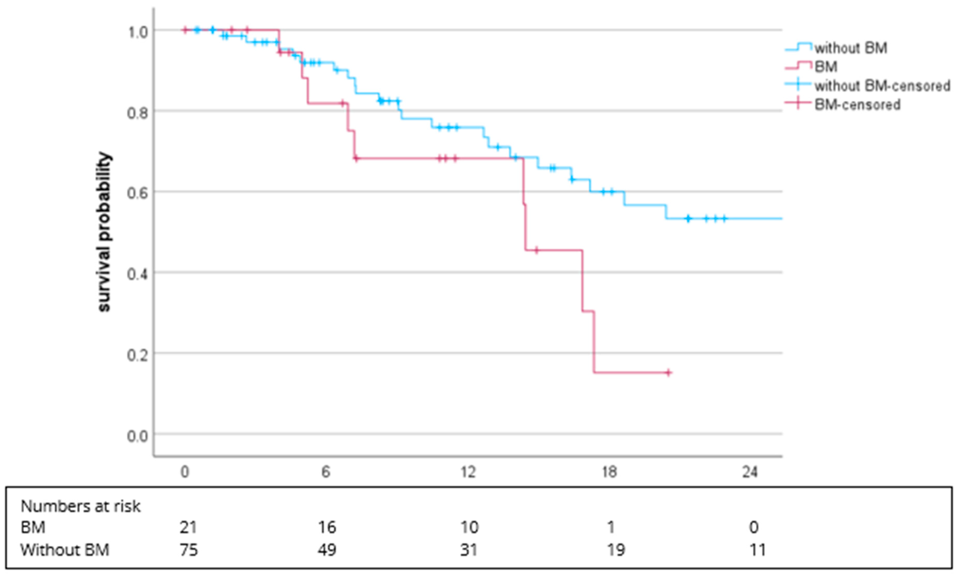 Cancers 16 02998 g003
