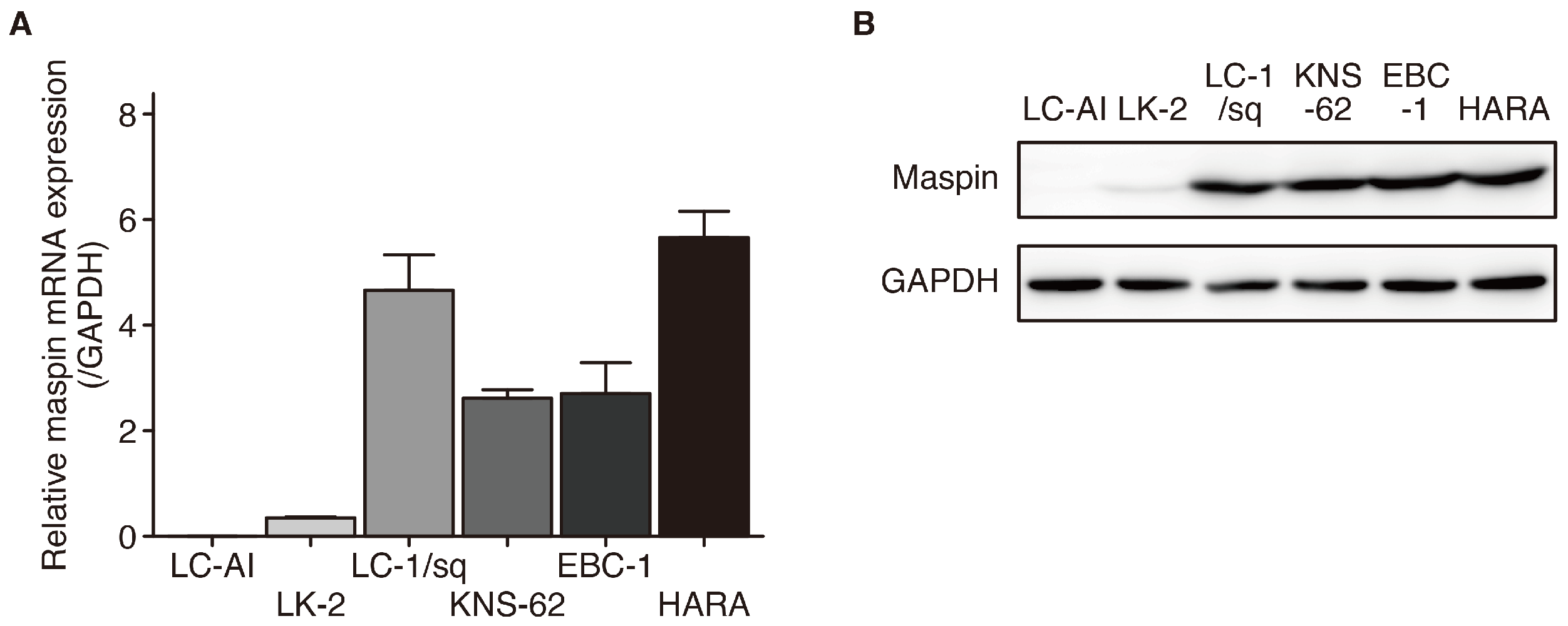 Cancers 16 03009 g001a