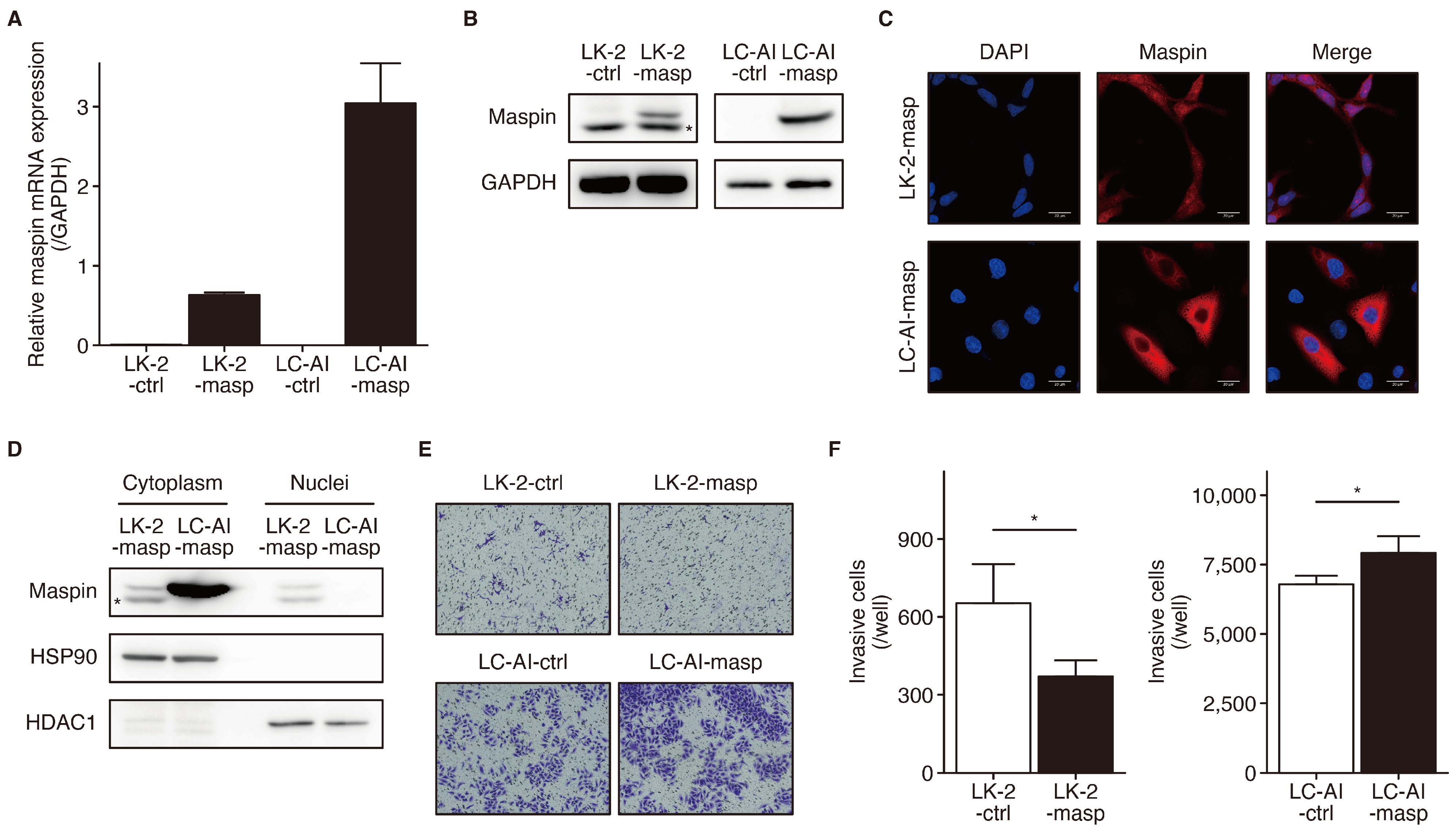 Cancers 16 03009 g003a