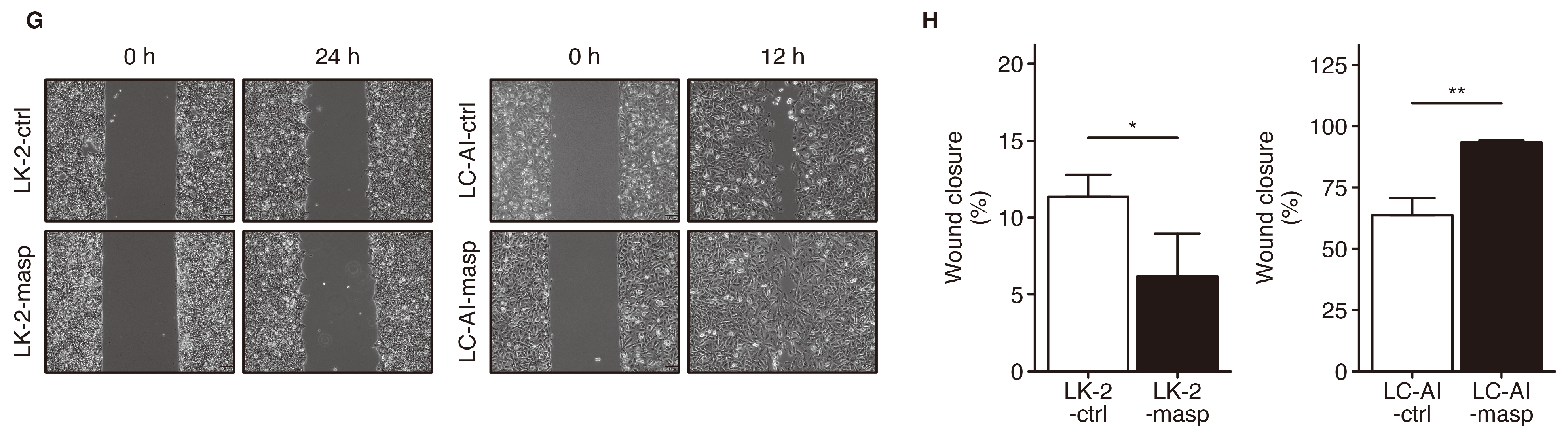 Cancers 16 03009 g003b