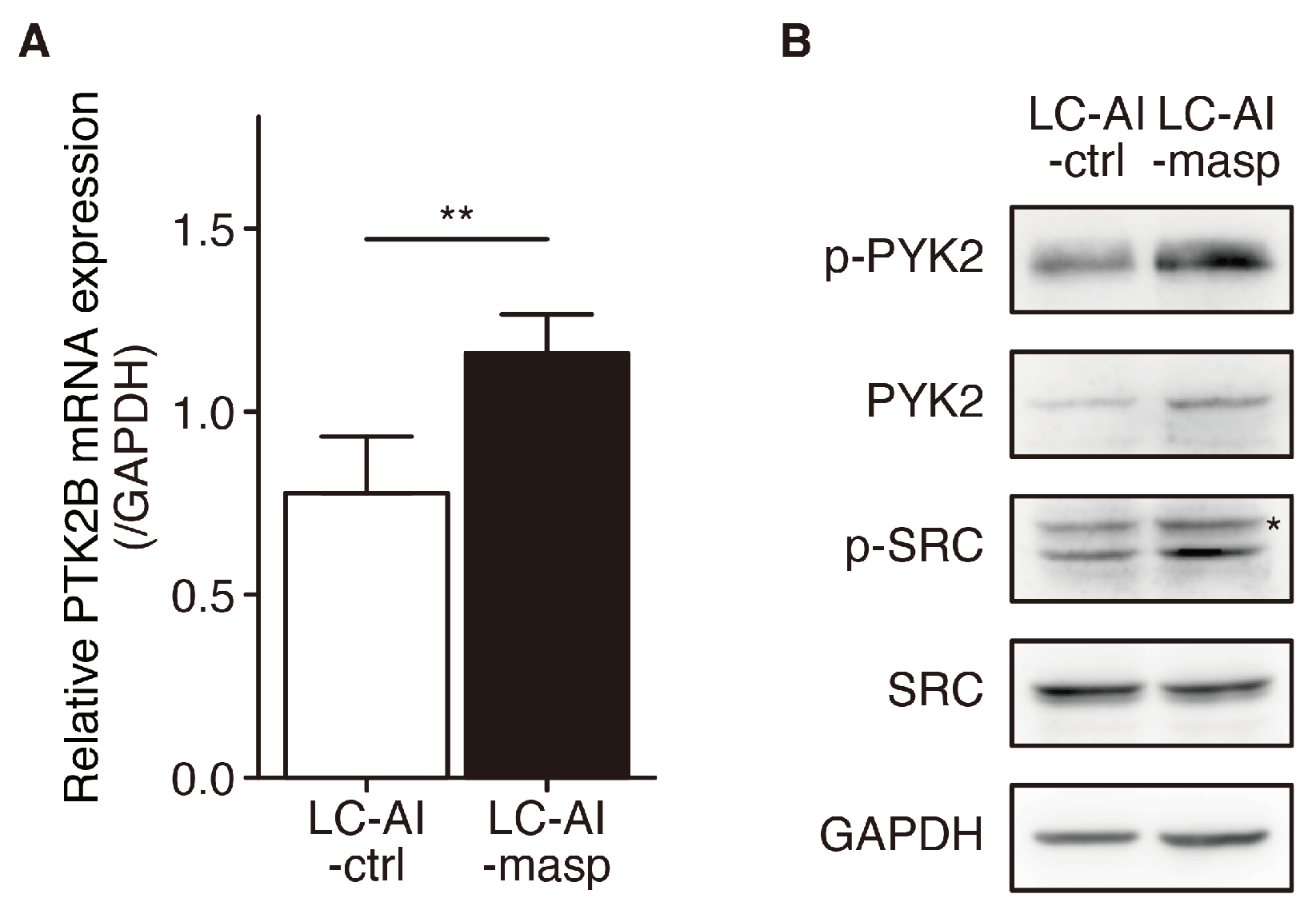Cancers 16 03009 g005