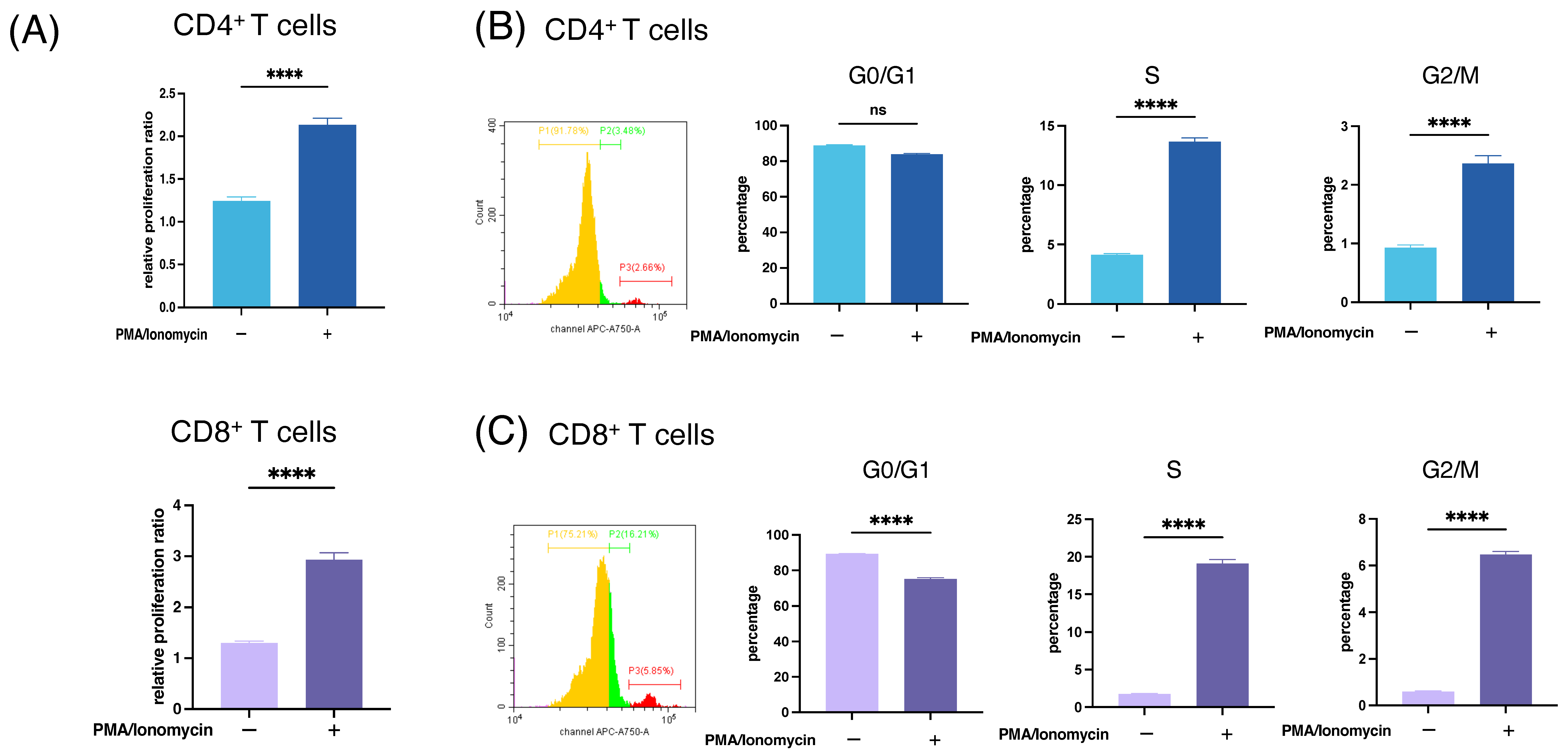 Cancers 16 03013 g002