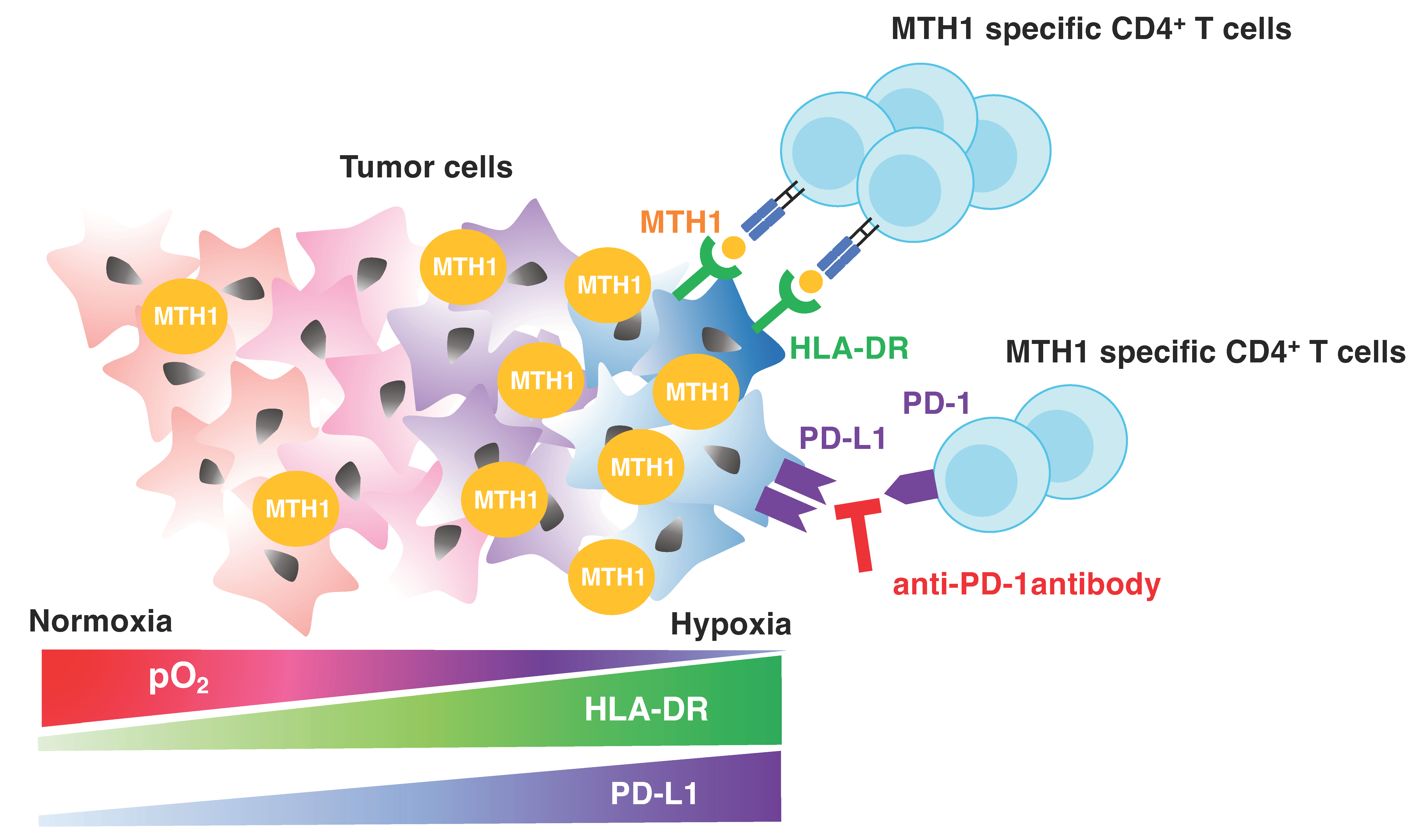 Cancers 16 03013 g007