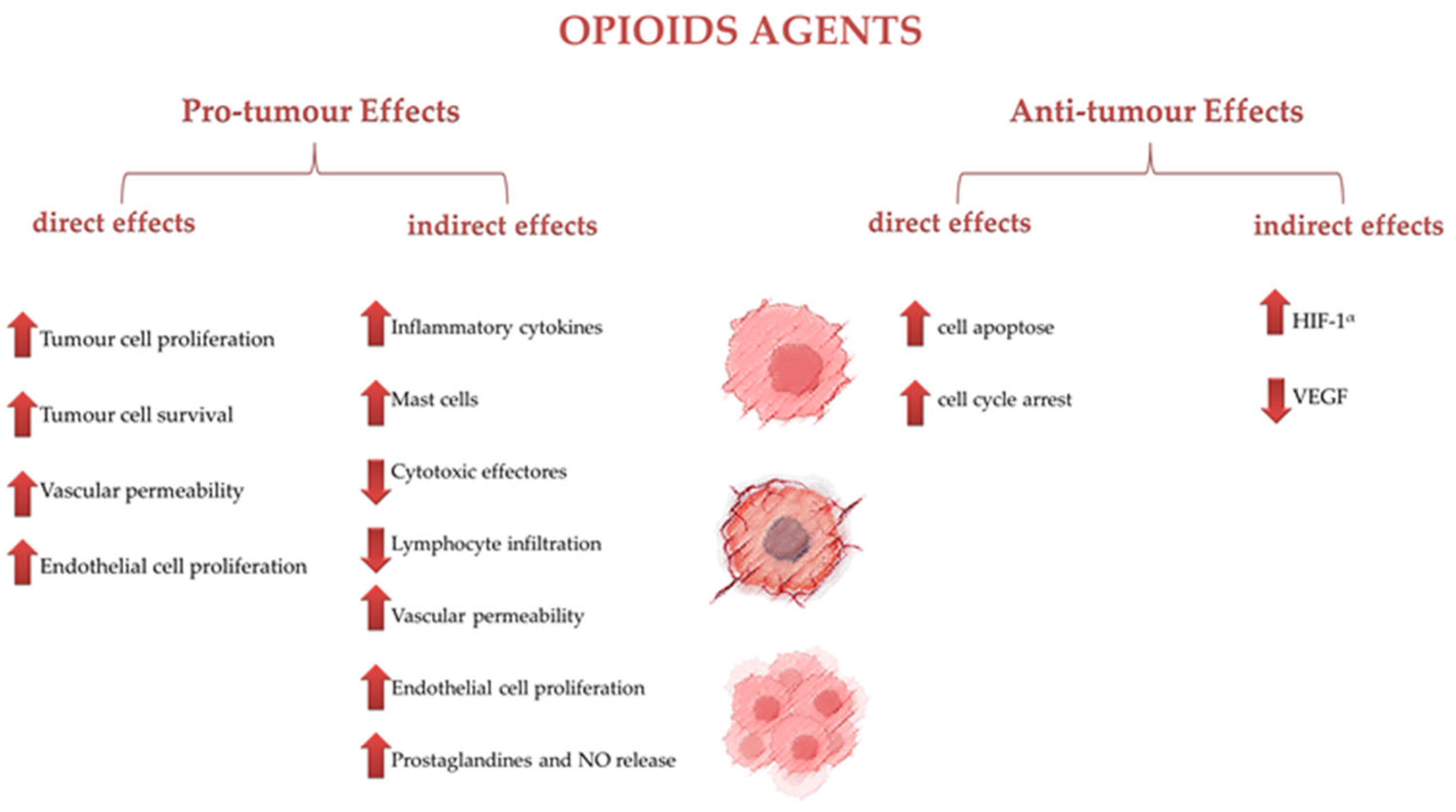 Cancers 16 03015 g001 Cancers 16 03015 g001