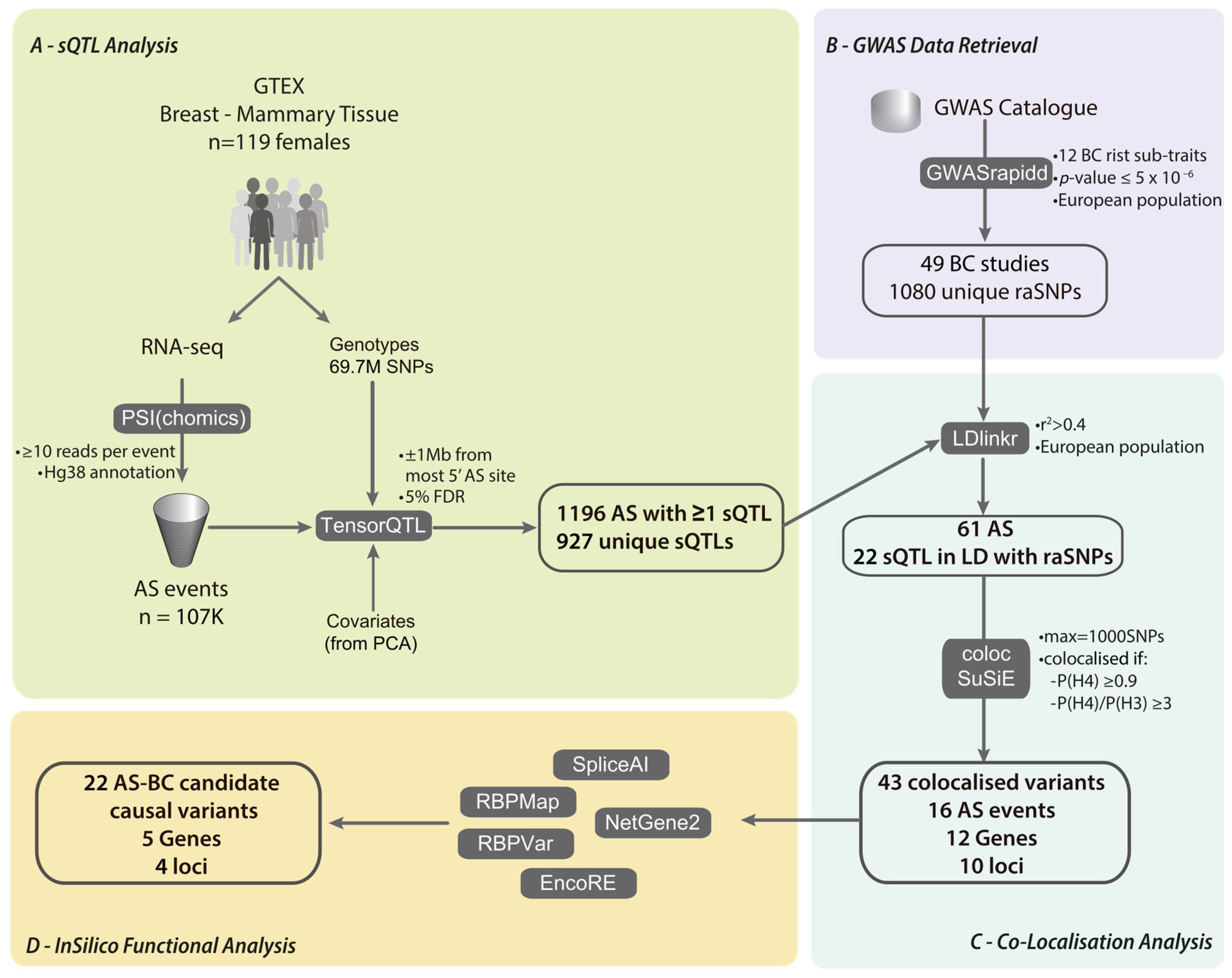 Cancers 16 03020 g001
