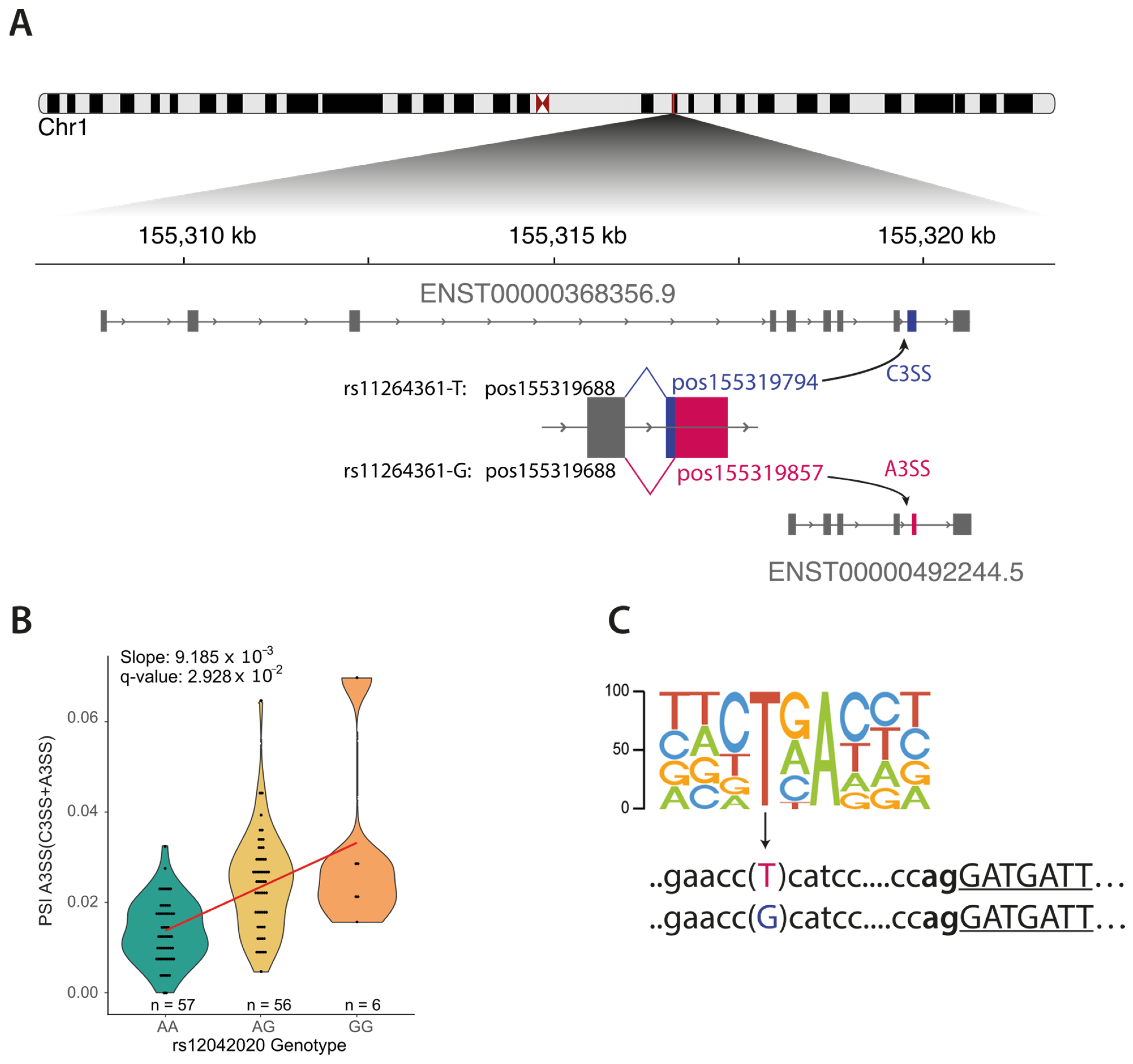 Cancers 16 03020 g003