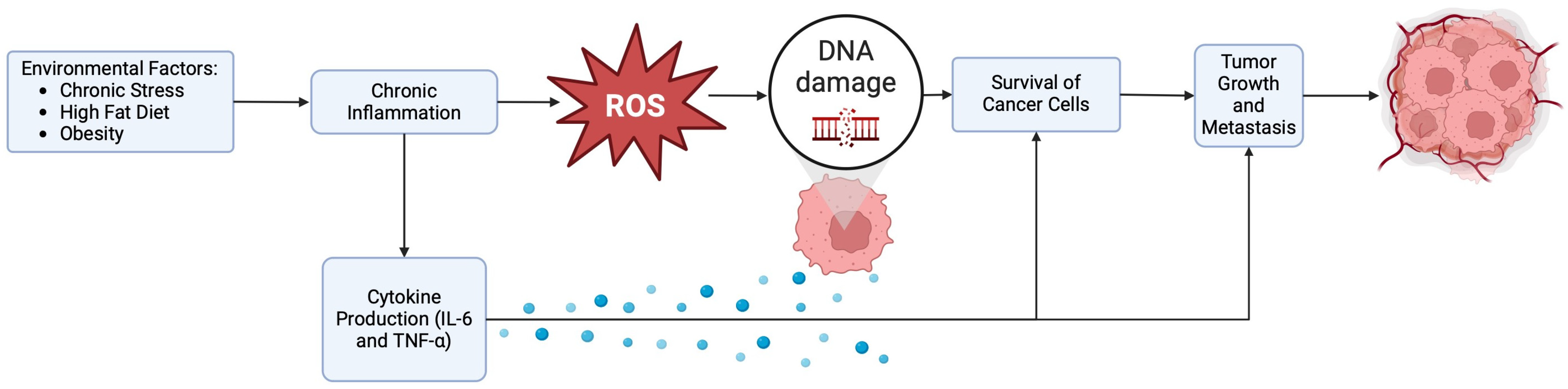 Cancers 16 03023 g001