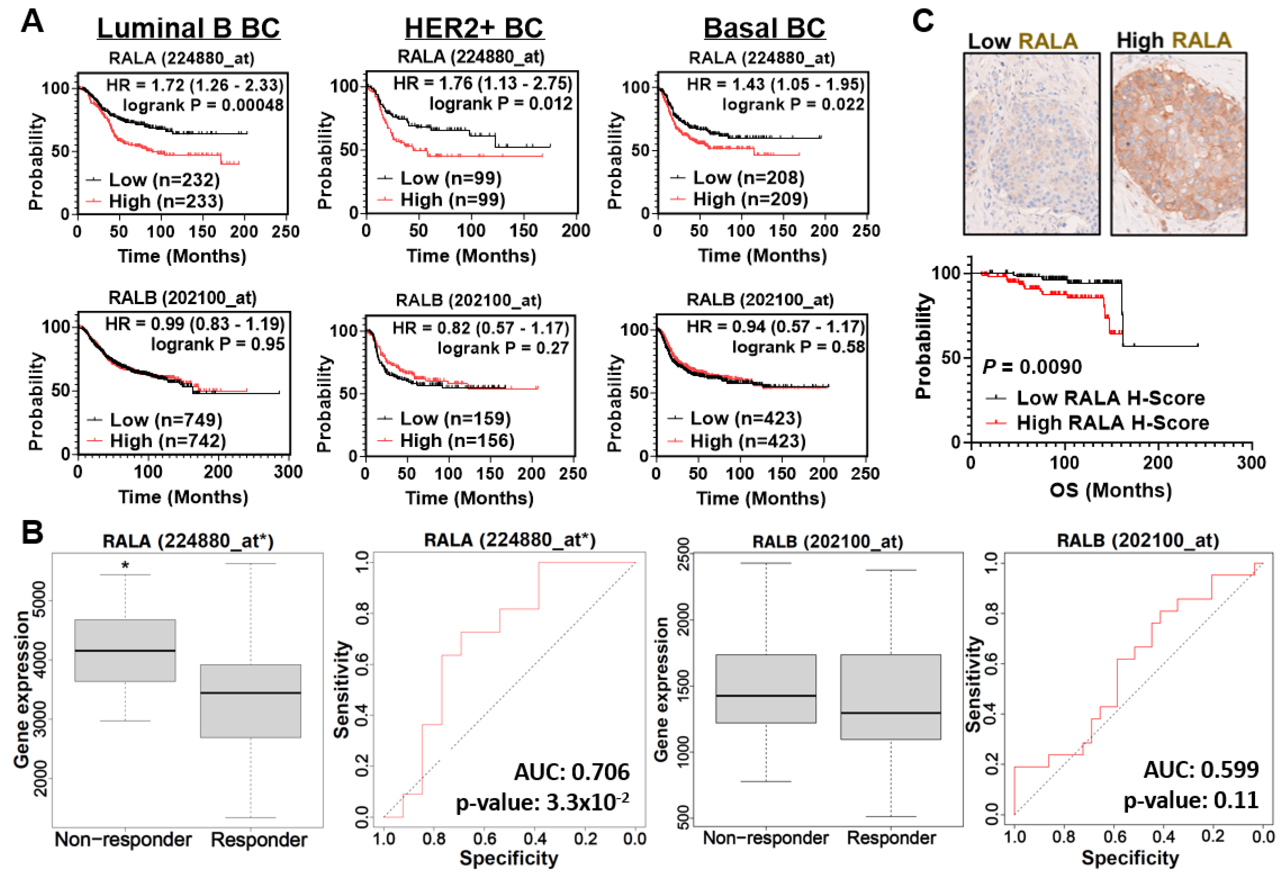 Cancers 16 03043 g001