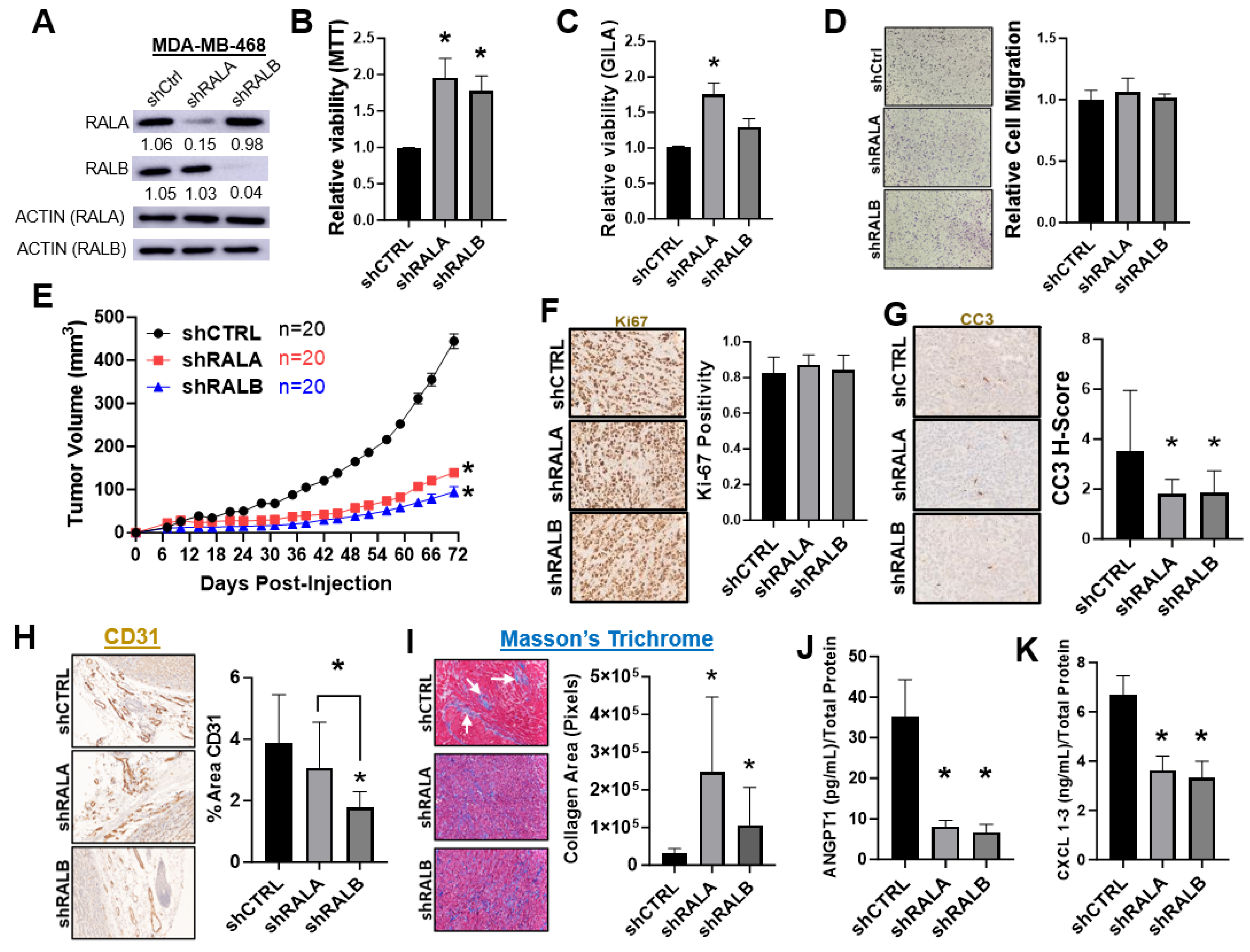 Cancers 16 03043 g002