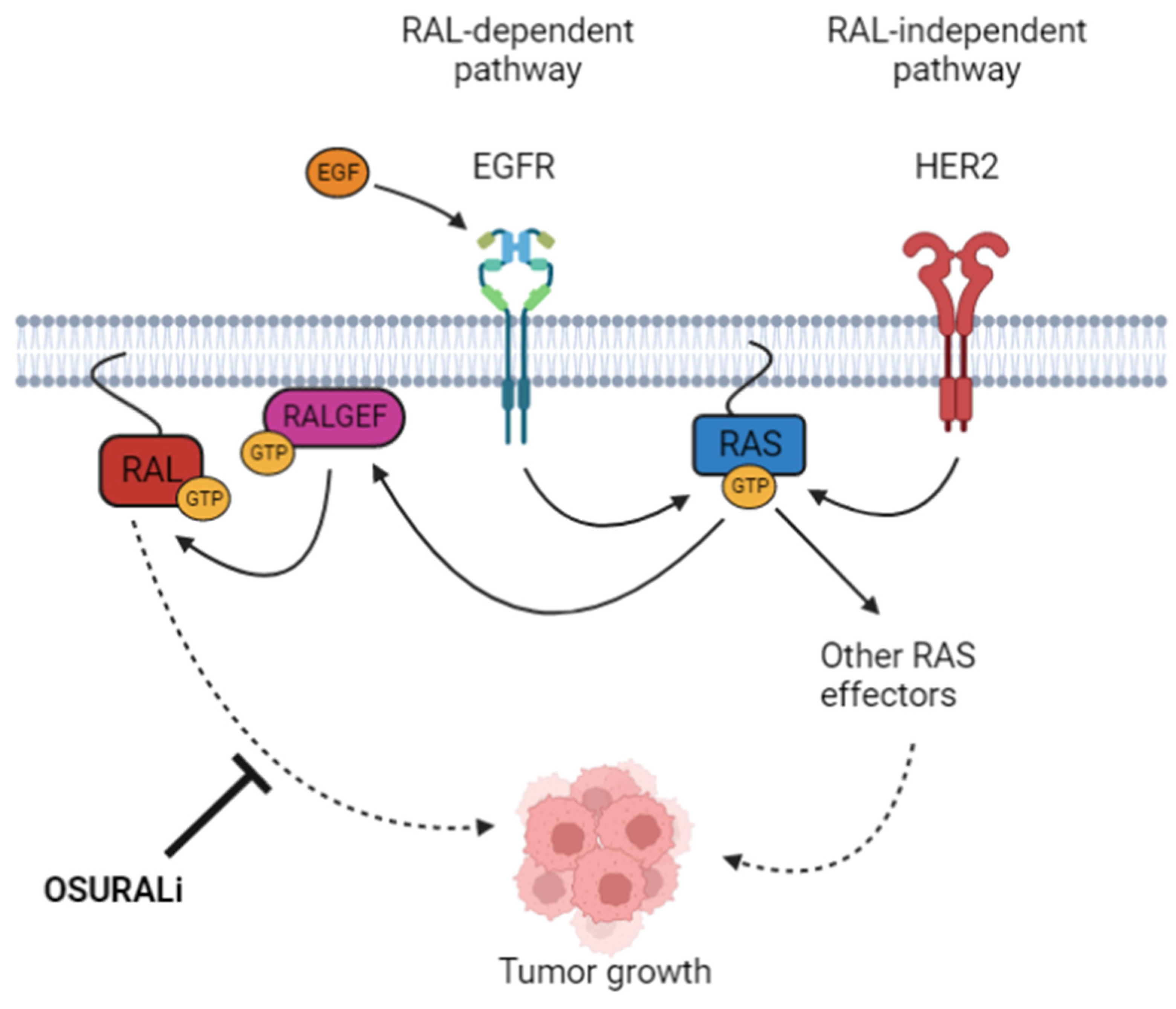 Cancers 16 03043 g008