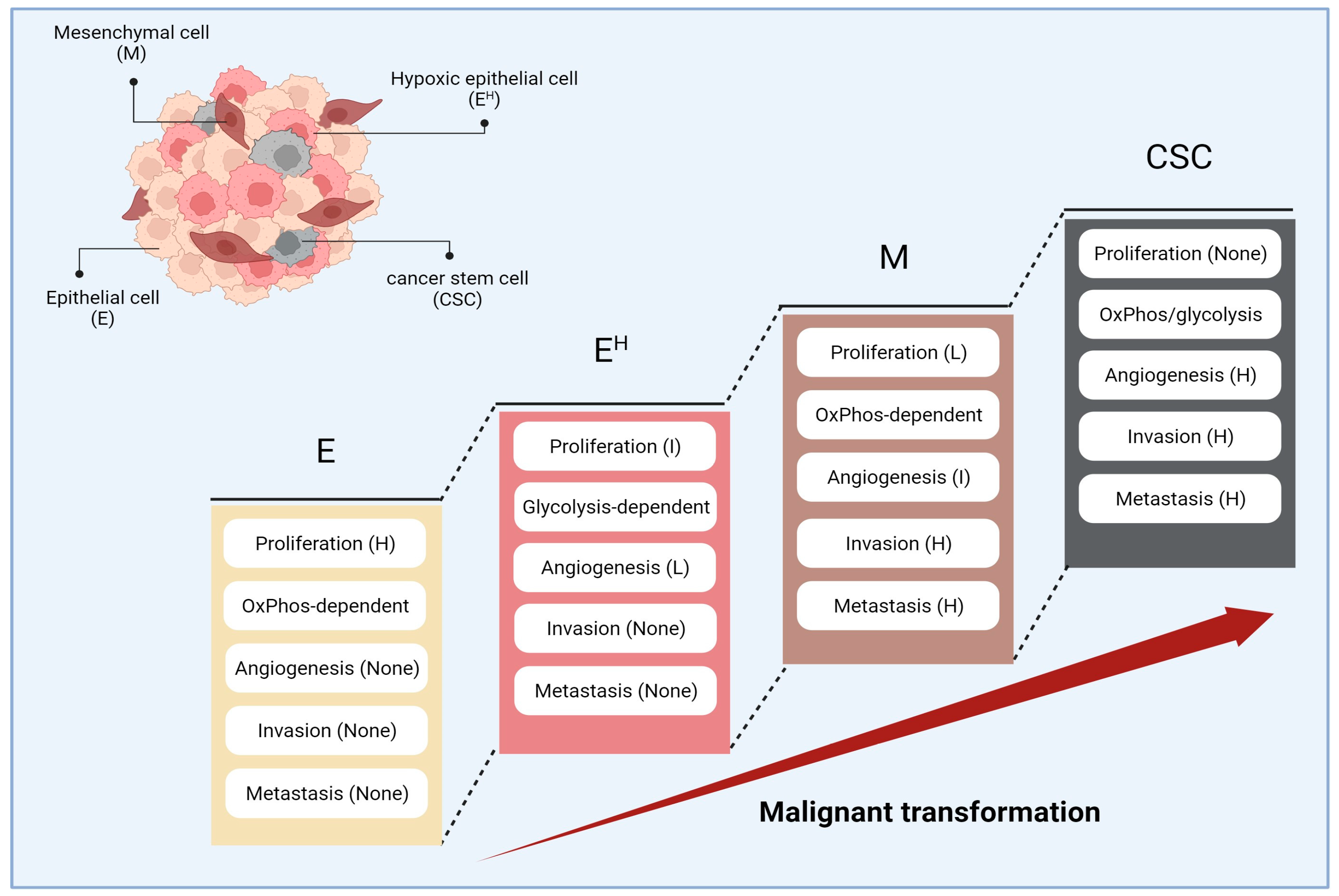 Cancers 16 03044 g002 Cancers 16 03044 g002