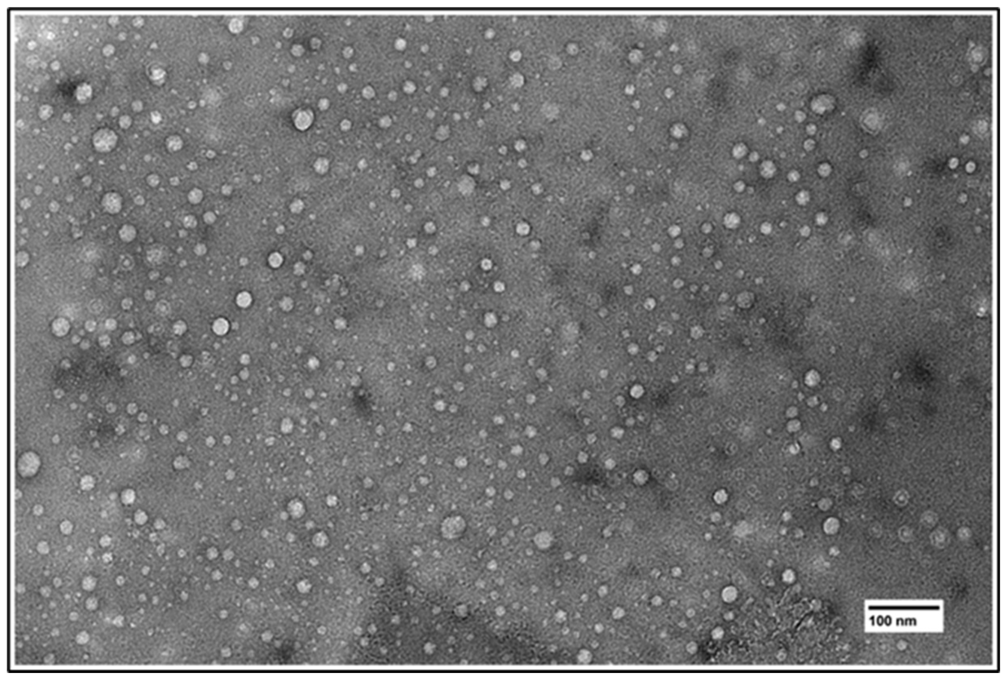 Cancers 16 03048 g002