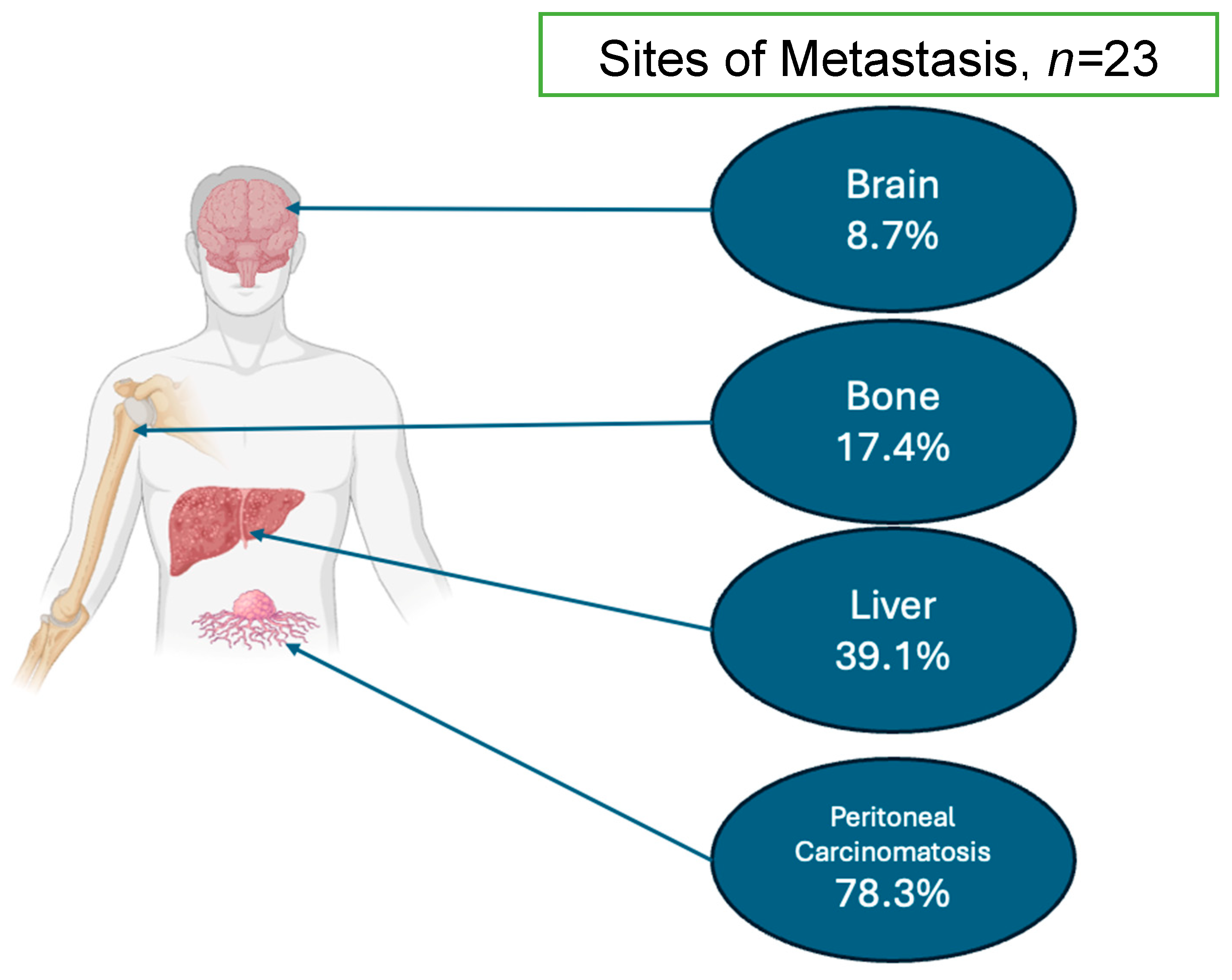 Cancers 16 03050 g001