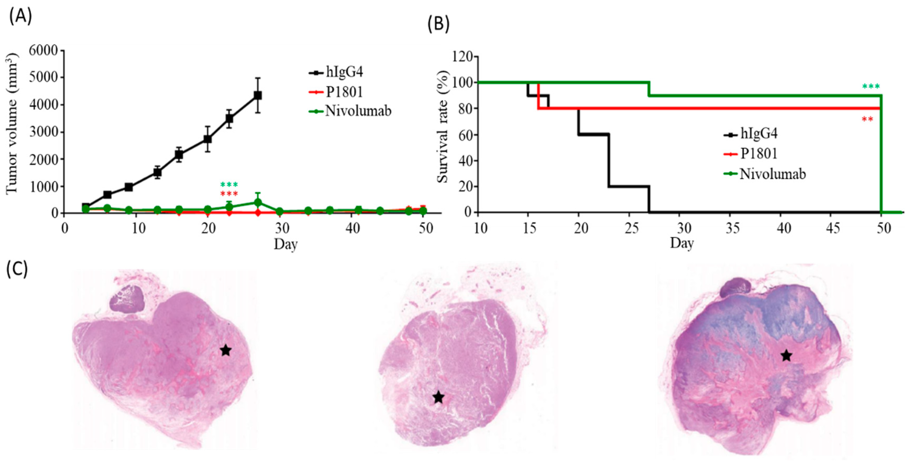 Cancers 16 03052 g005