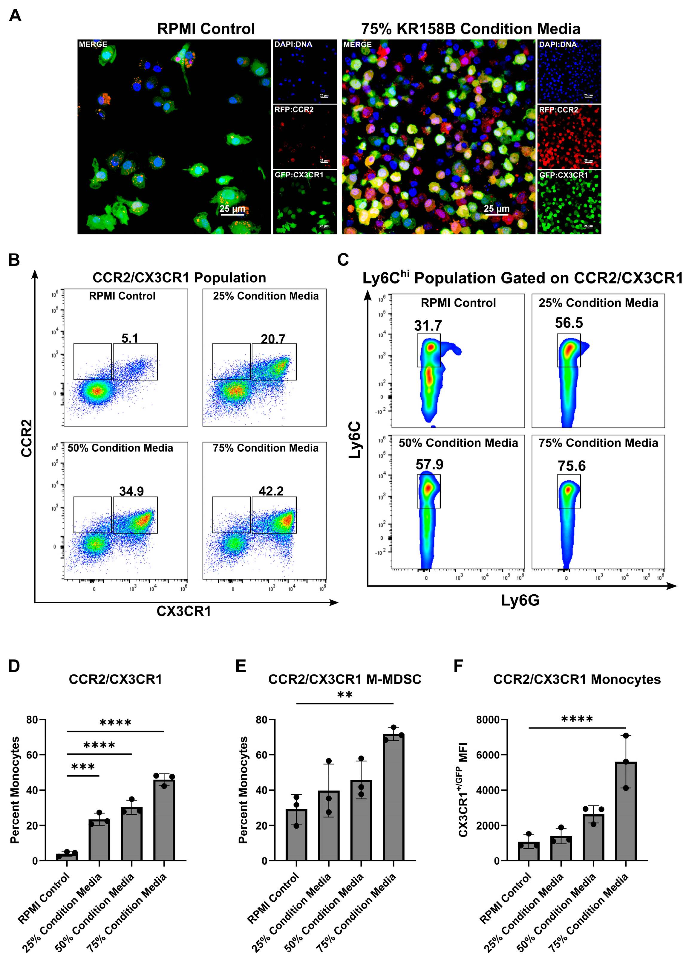 Cancers 16 03055 g001