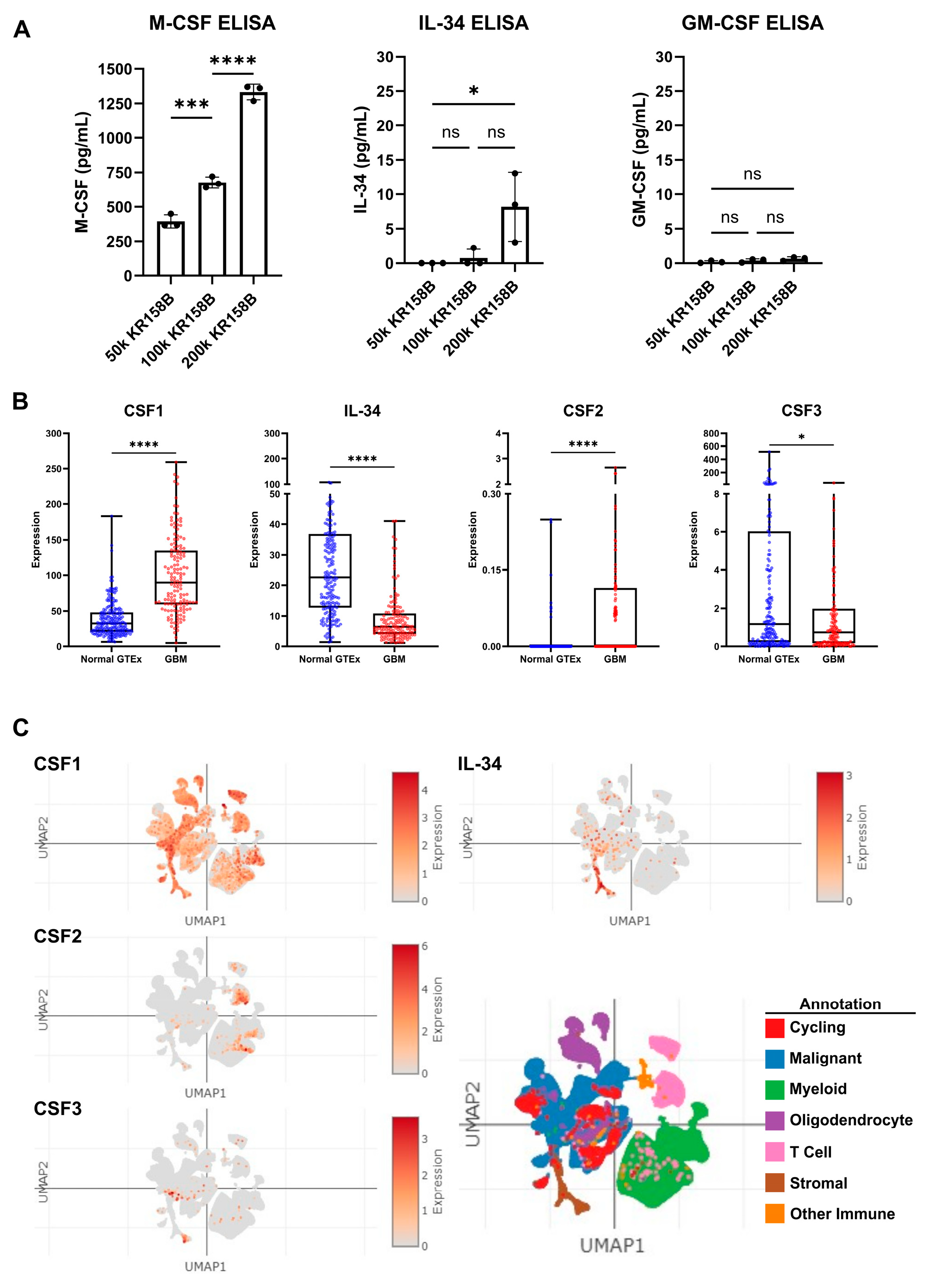 Cancers 16 03055 g003