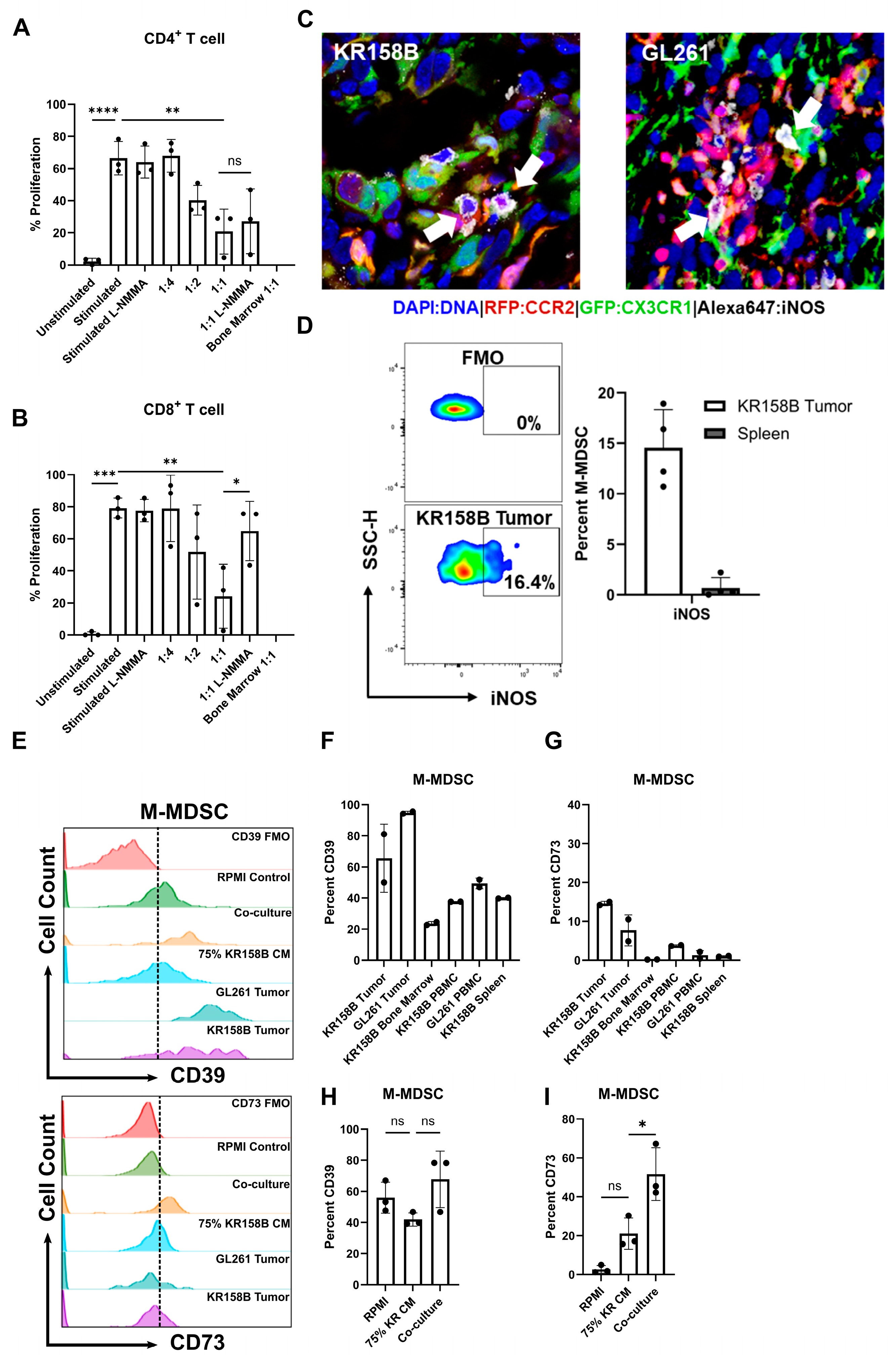Cancers 16 03055 g005