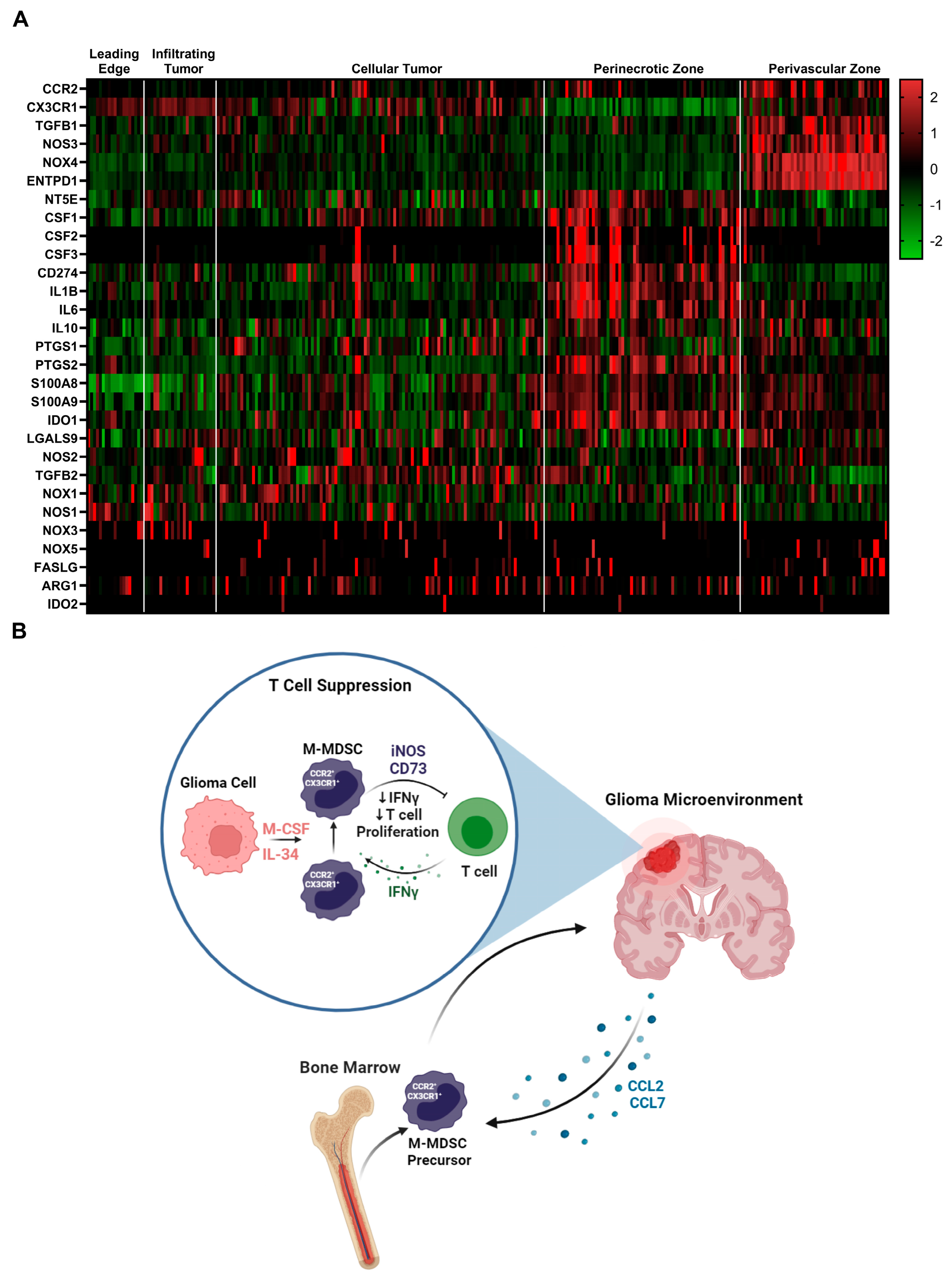 Cancers 16 03055 g006