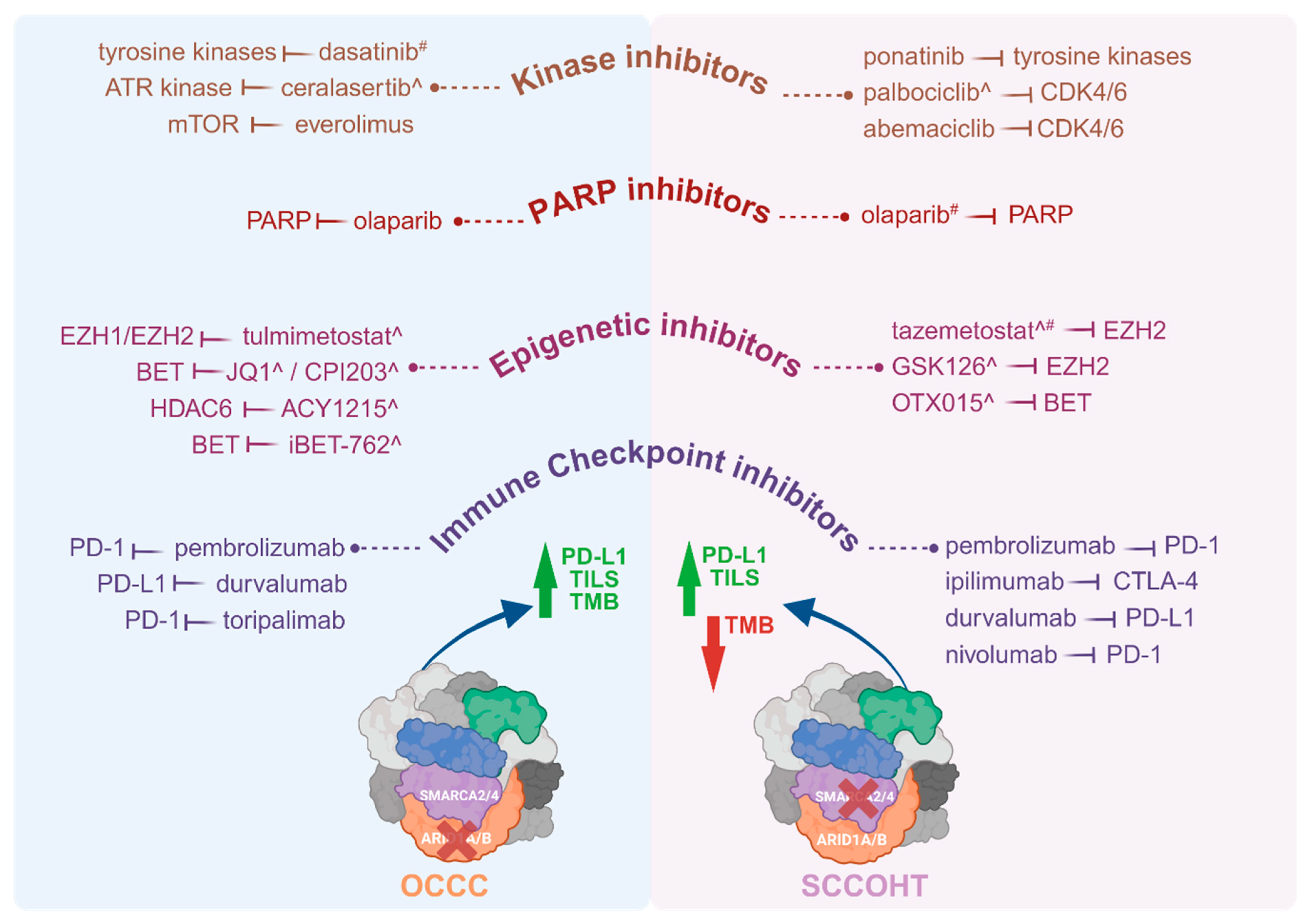 Cancers 16 03068 g002