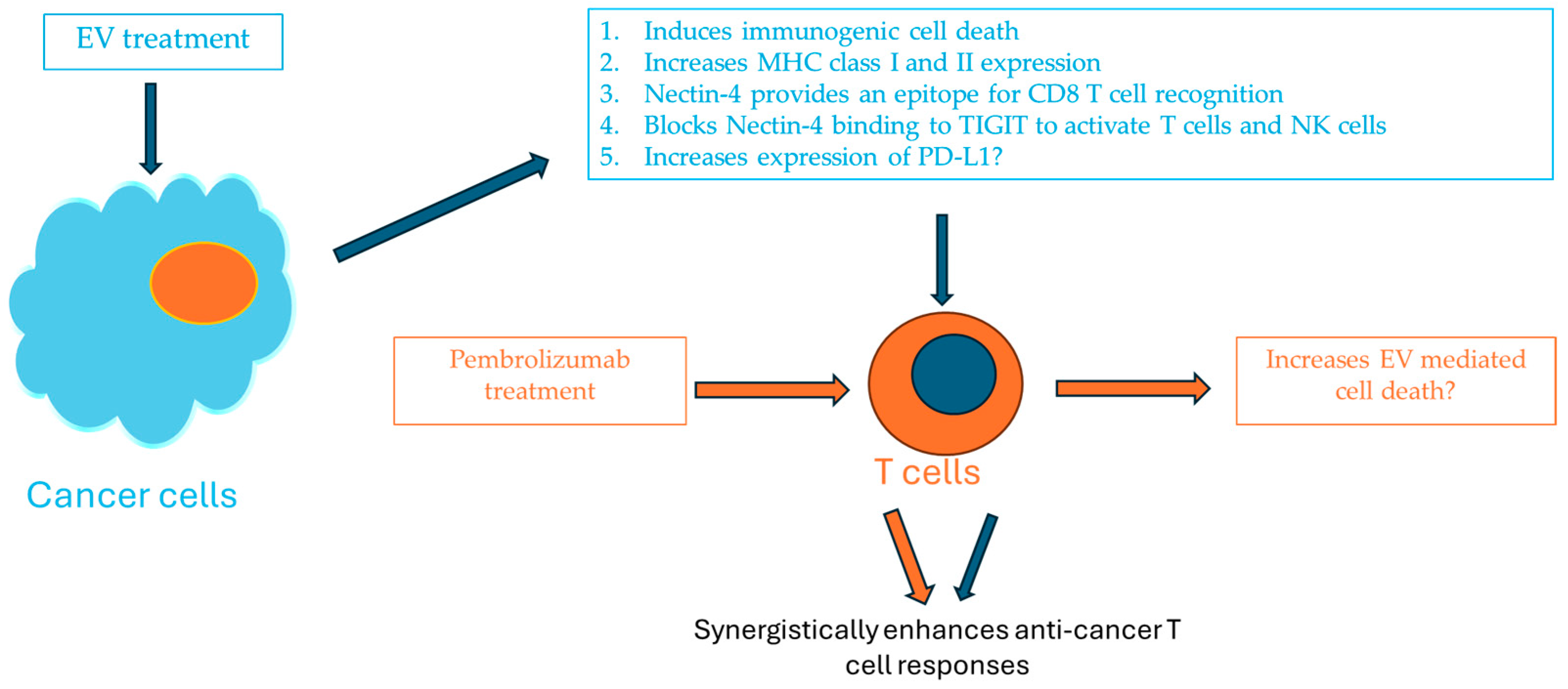 Cancers 16 03071 g001