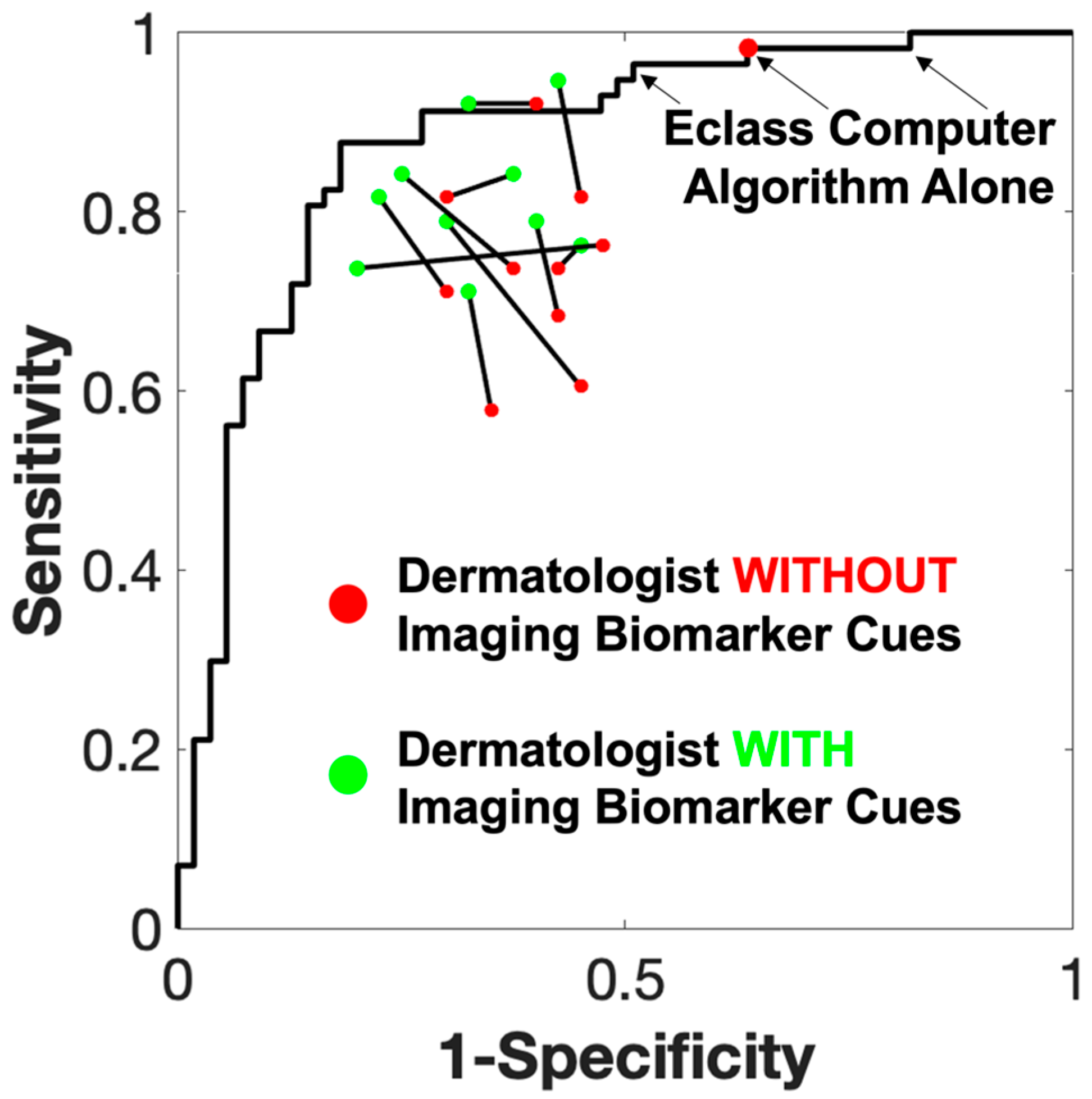 Cancers 16 03077 g004