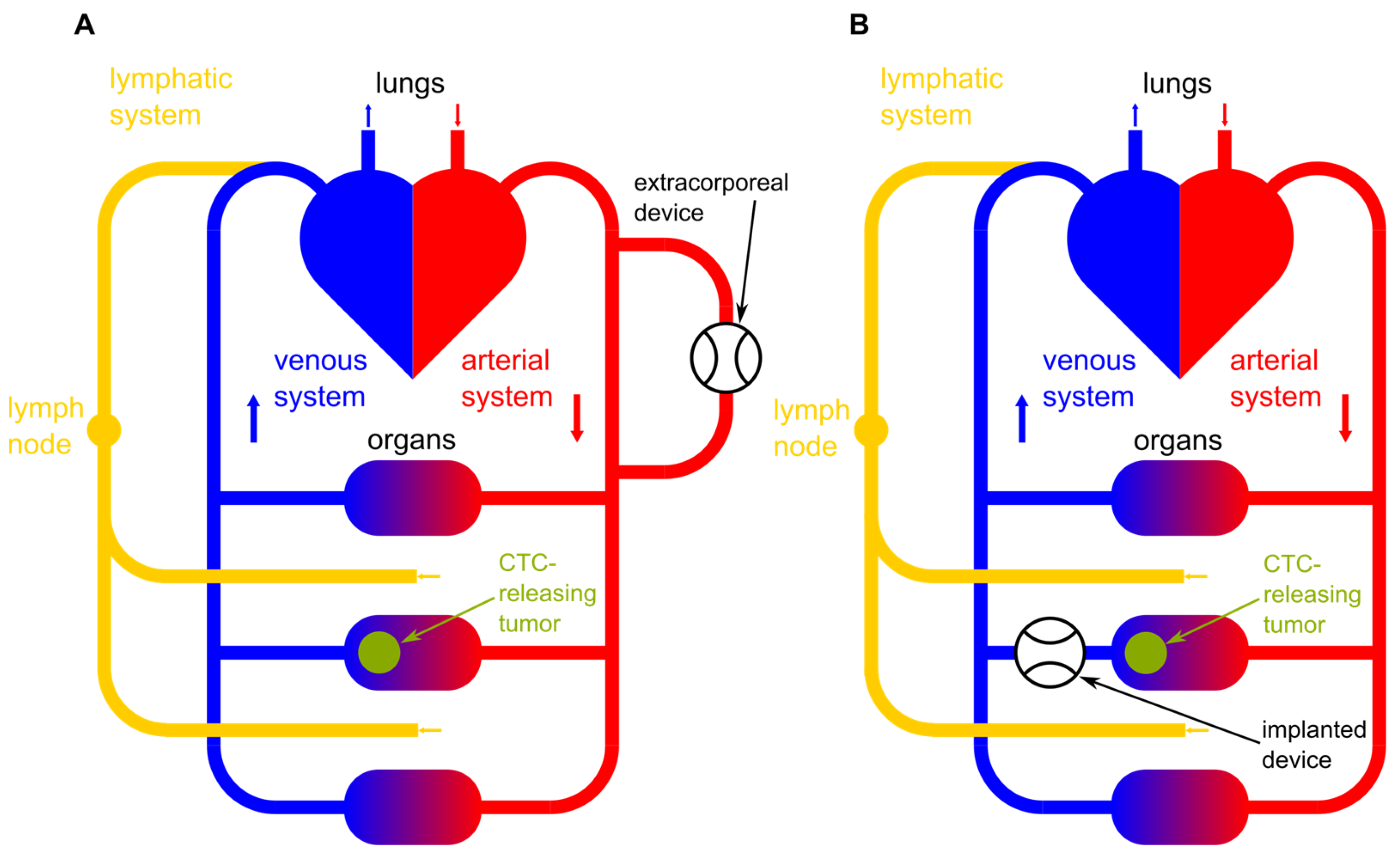 Cancers 16 03078 g001