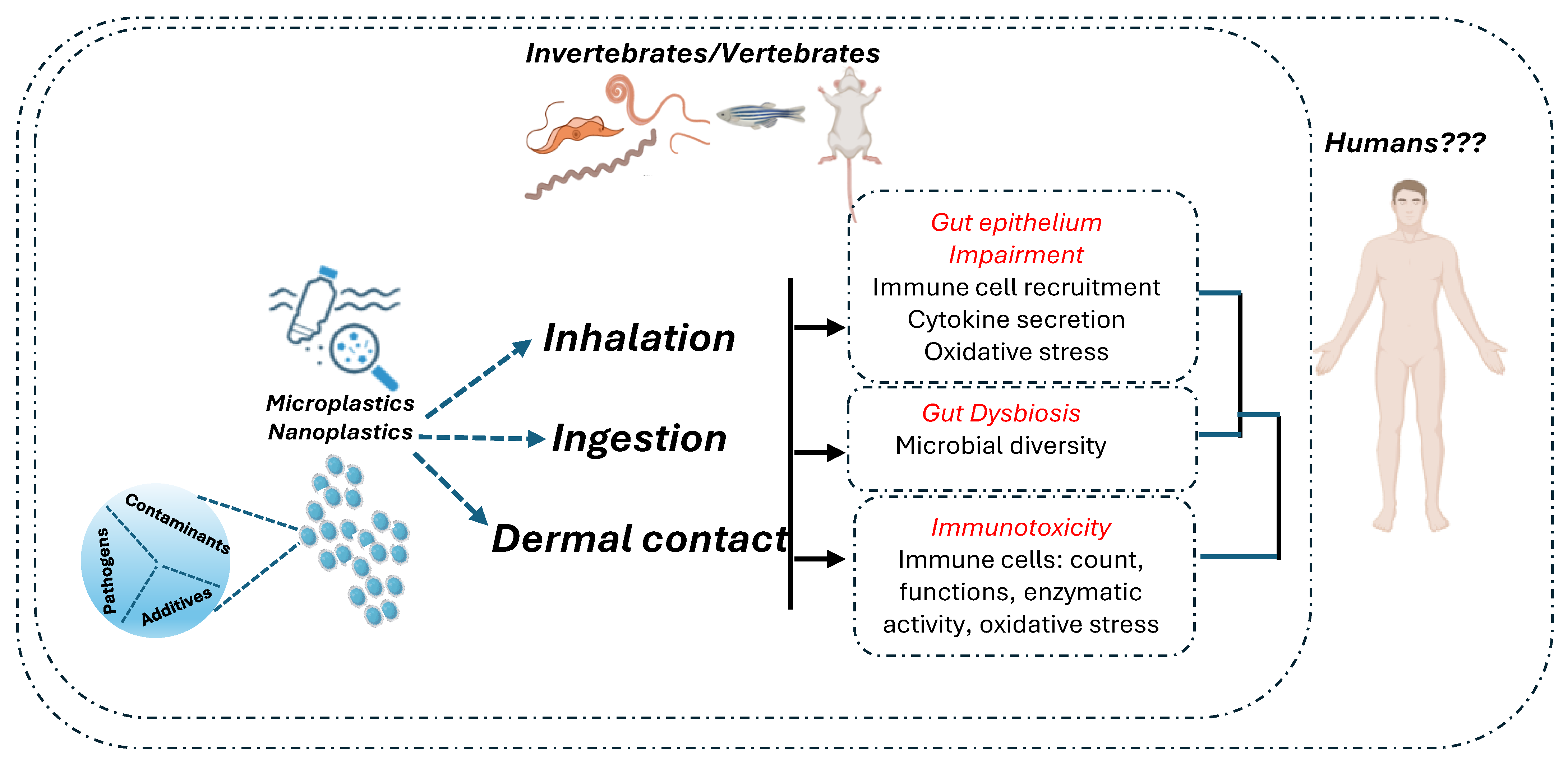 Cancers 16 03079 g002
