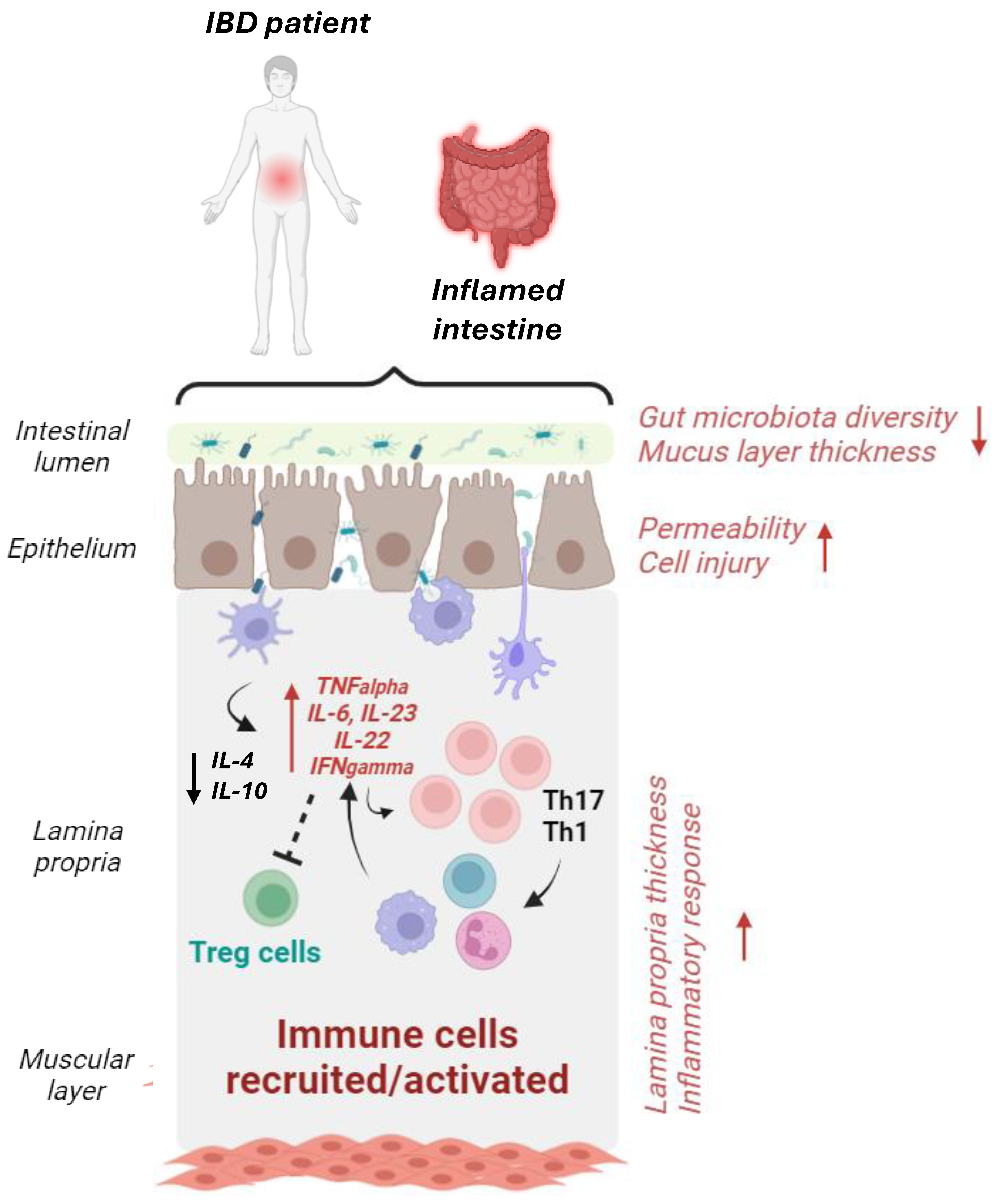 Cancers 16 03079 g003