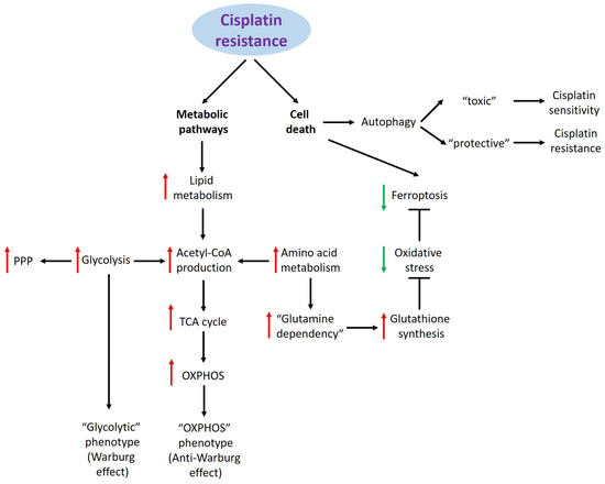 Cisplatin Resistance and Metabolism: Simplification of Complexity