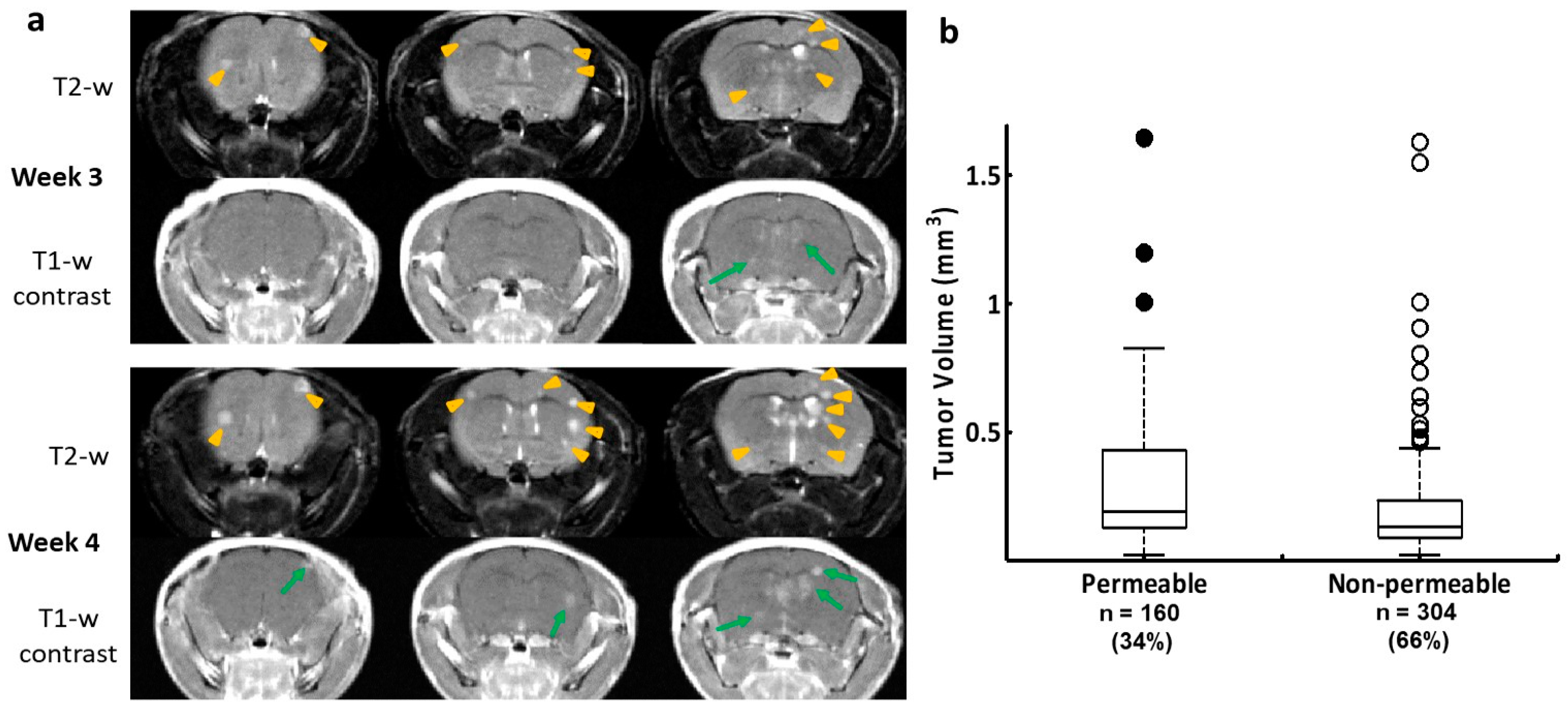Cancers 16 03088 g001