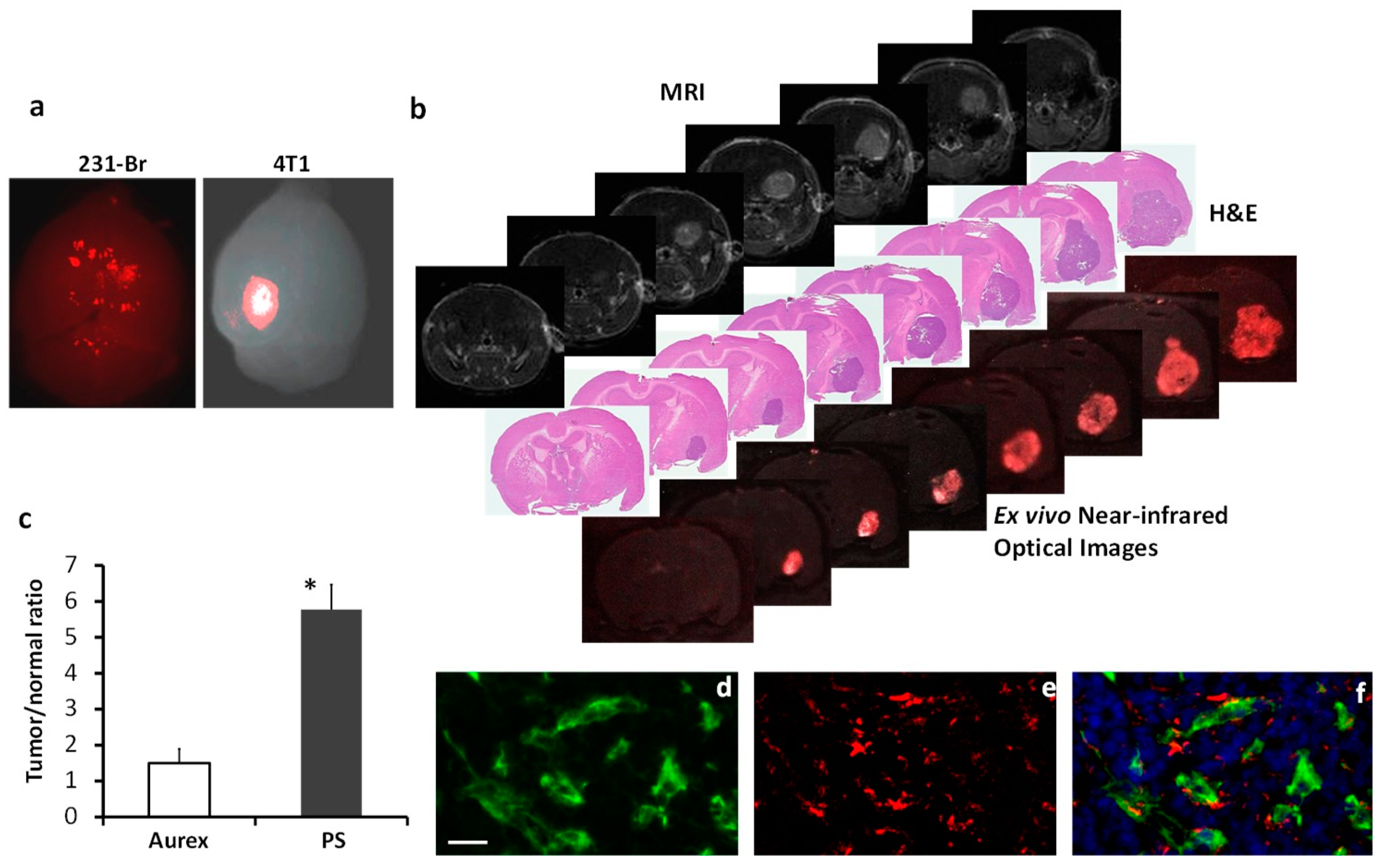 Cancers 16 03088 g005