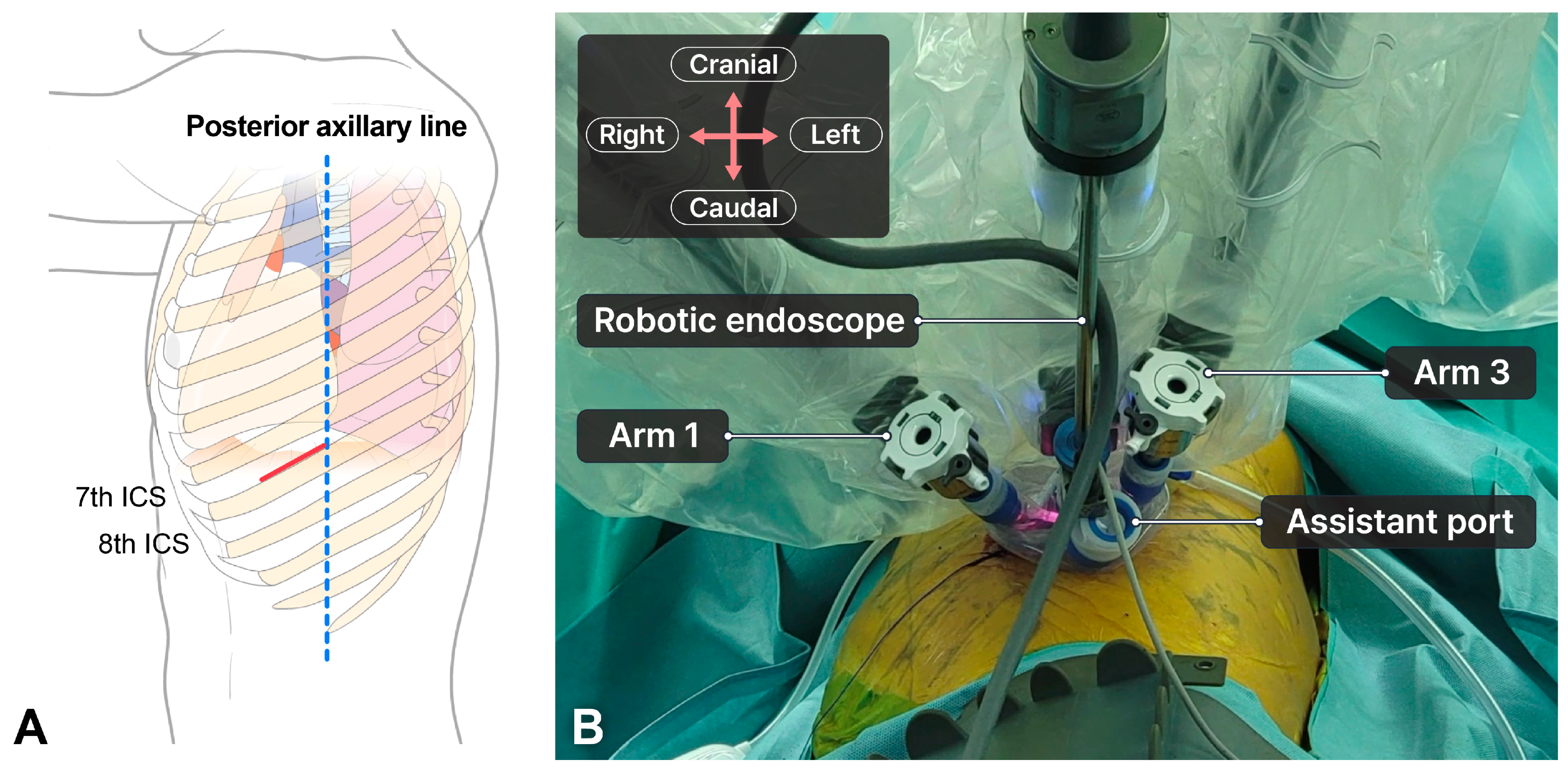 Cancers 16 03091 g001