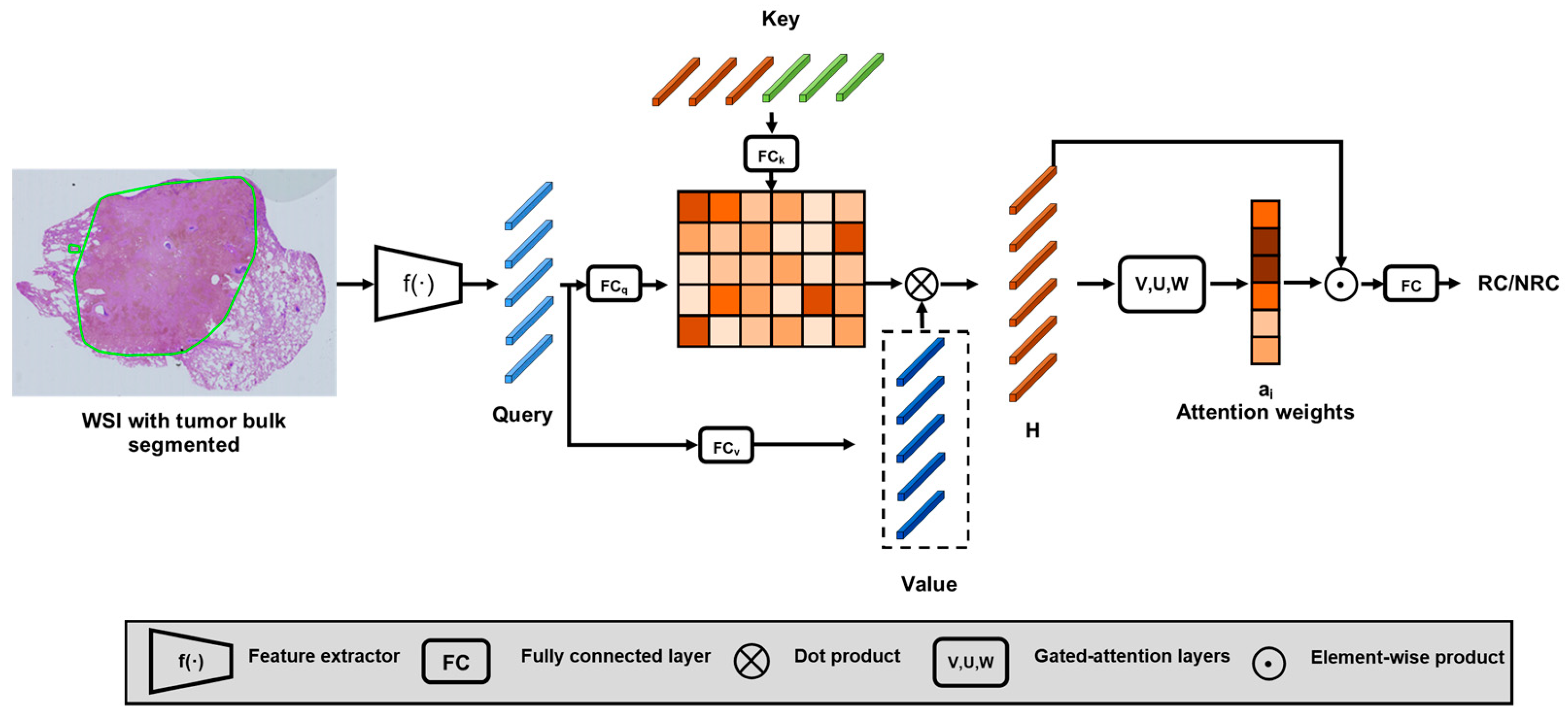 Cancers 16 03097 g002