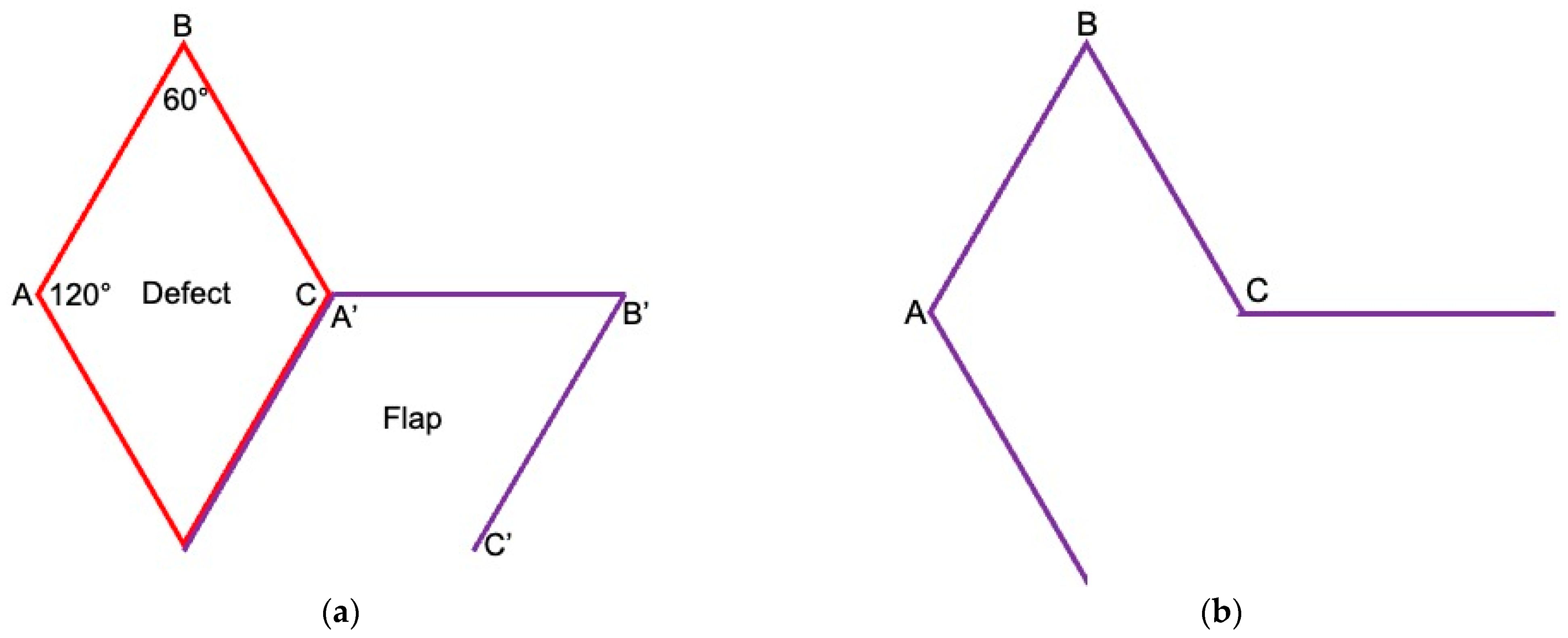 Cancers 16 03101 g002