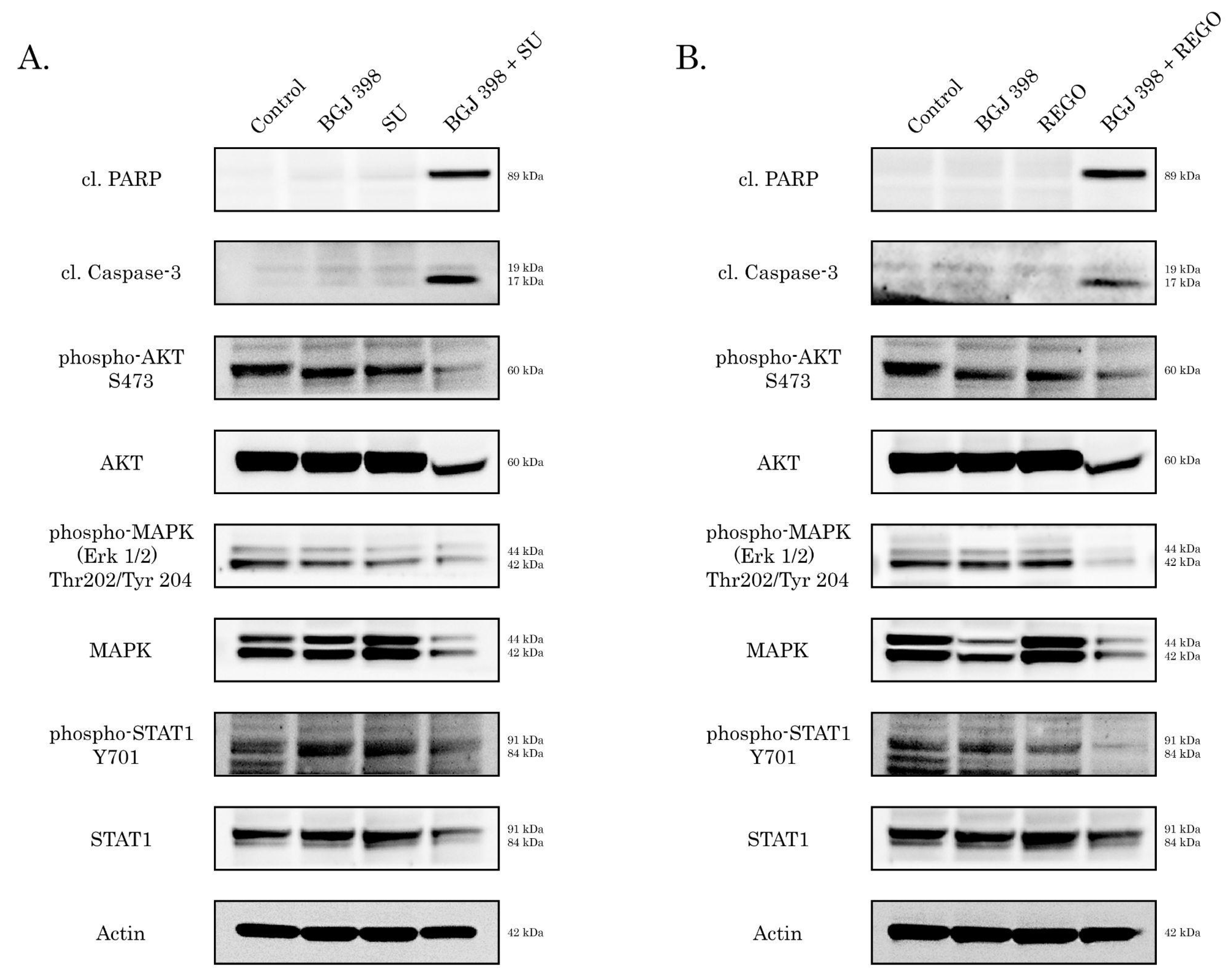 Cancers 16 03103 g005