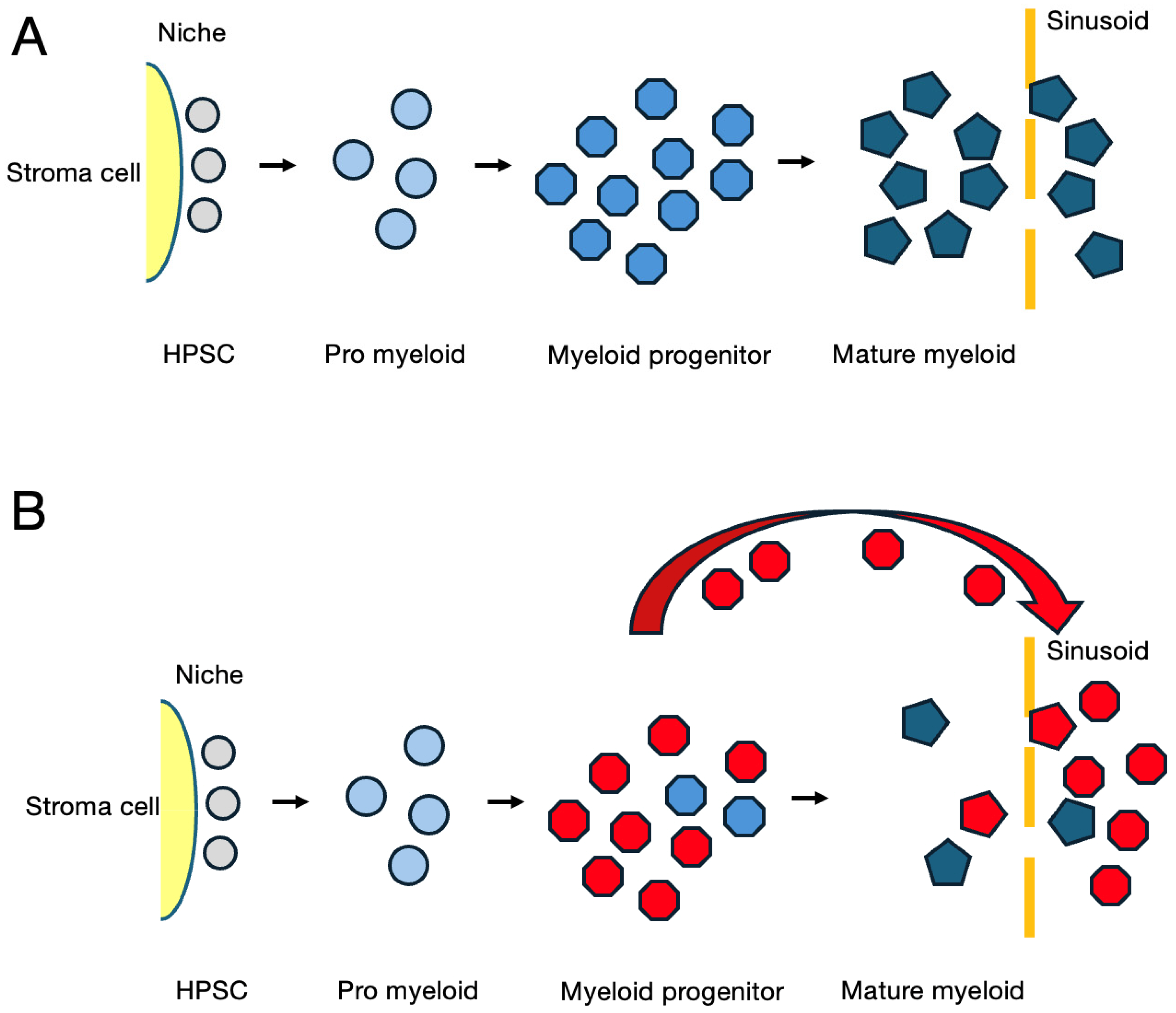 Cancers 16 03109 g001