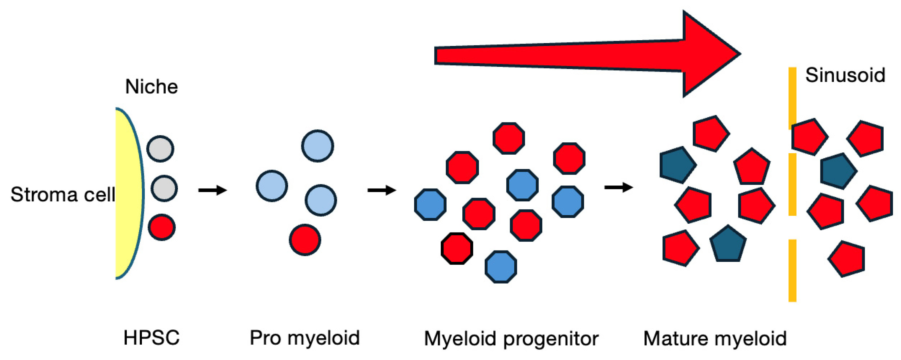 Cancers 16 03109 g002