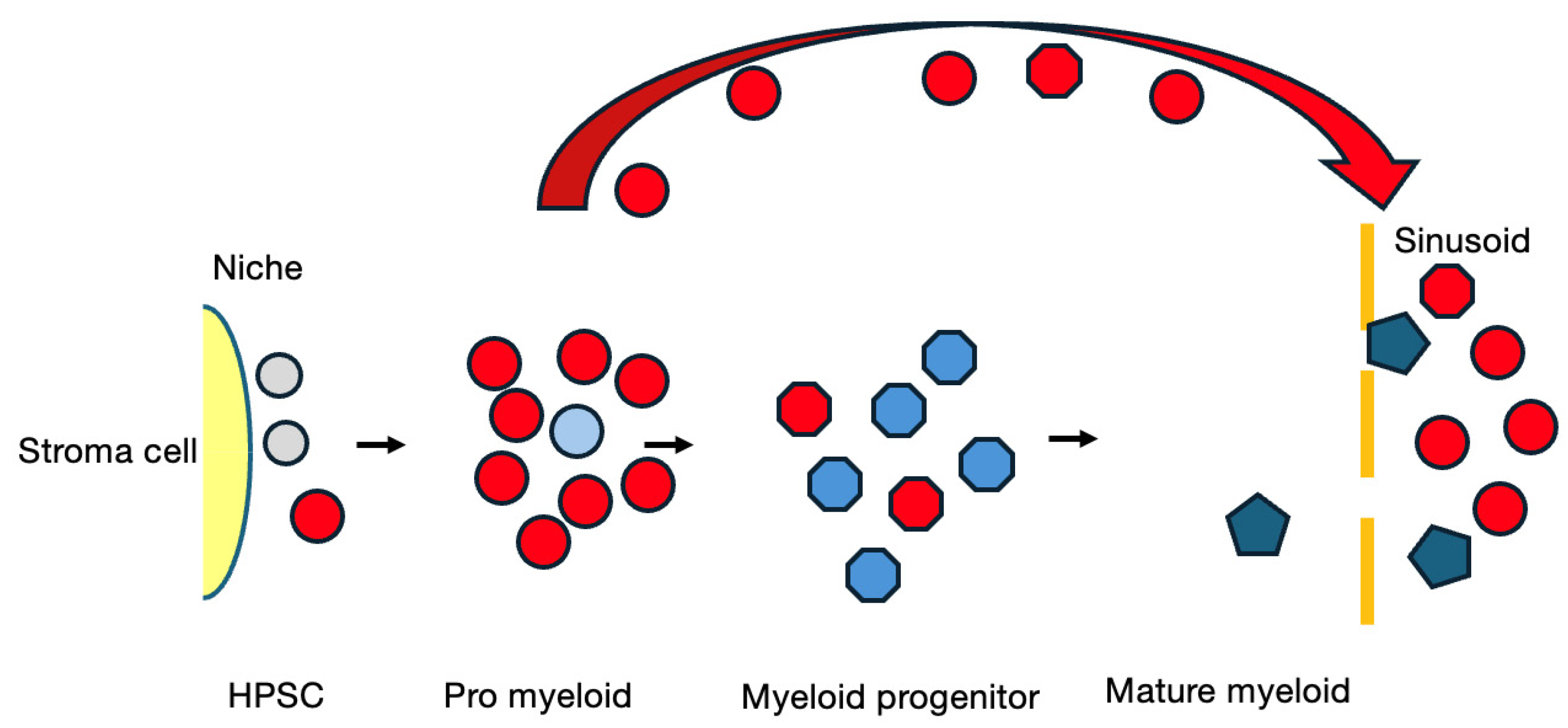Cancers 16 03109 g004