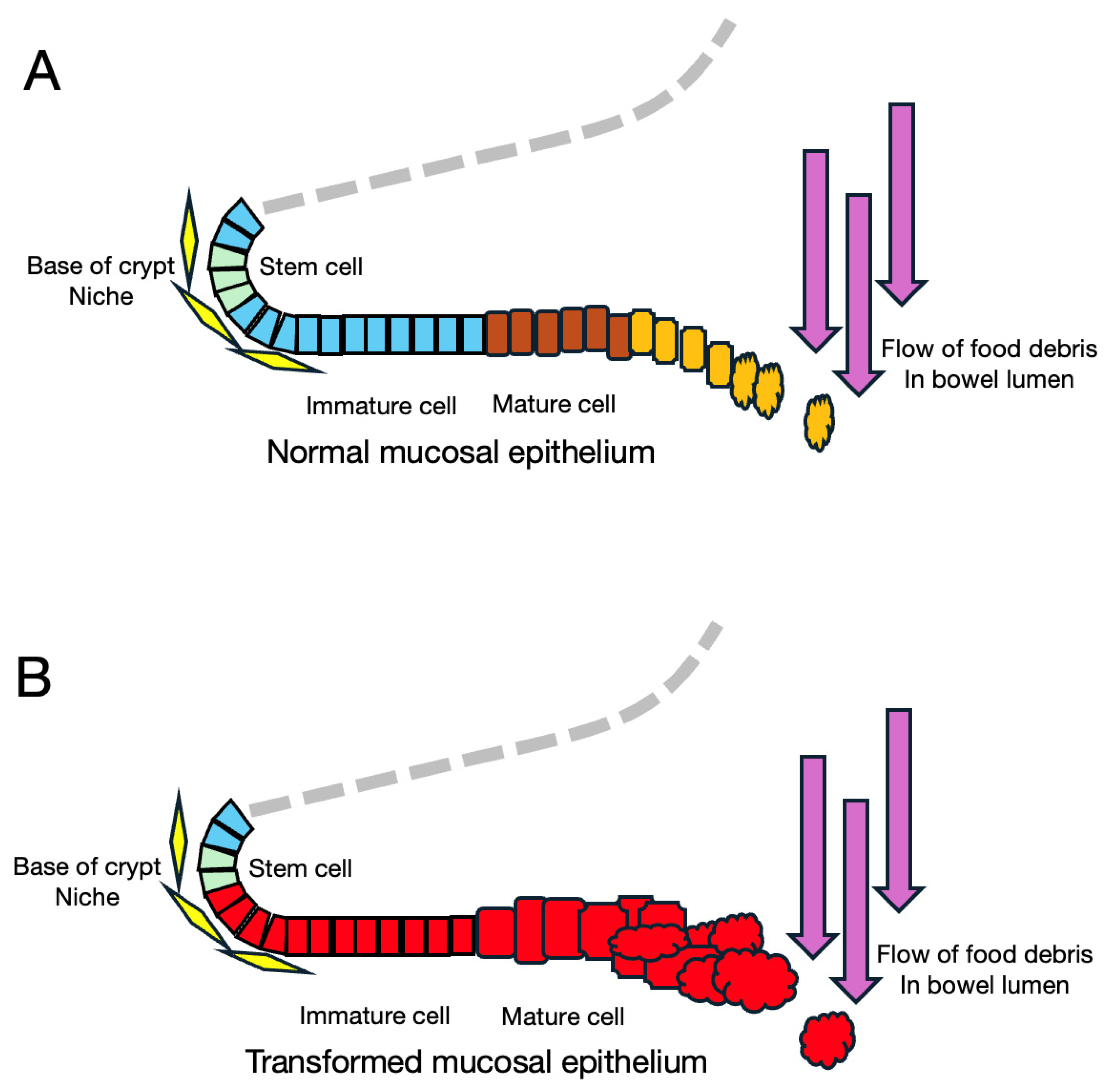 Cancers 16 03109 g005