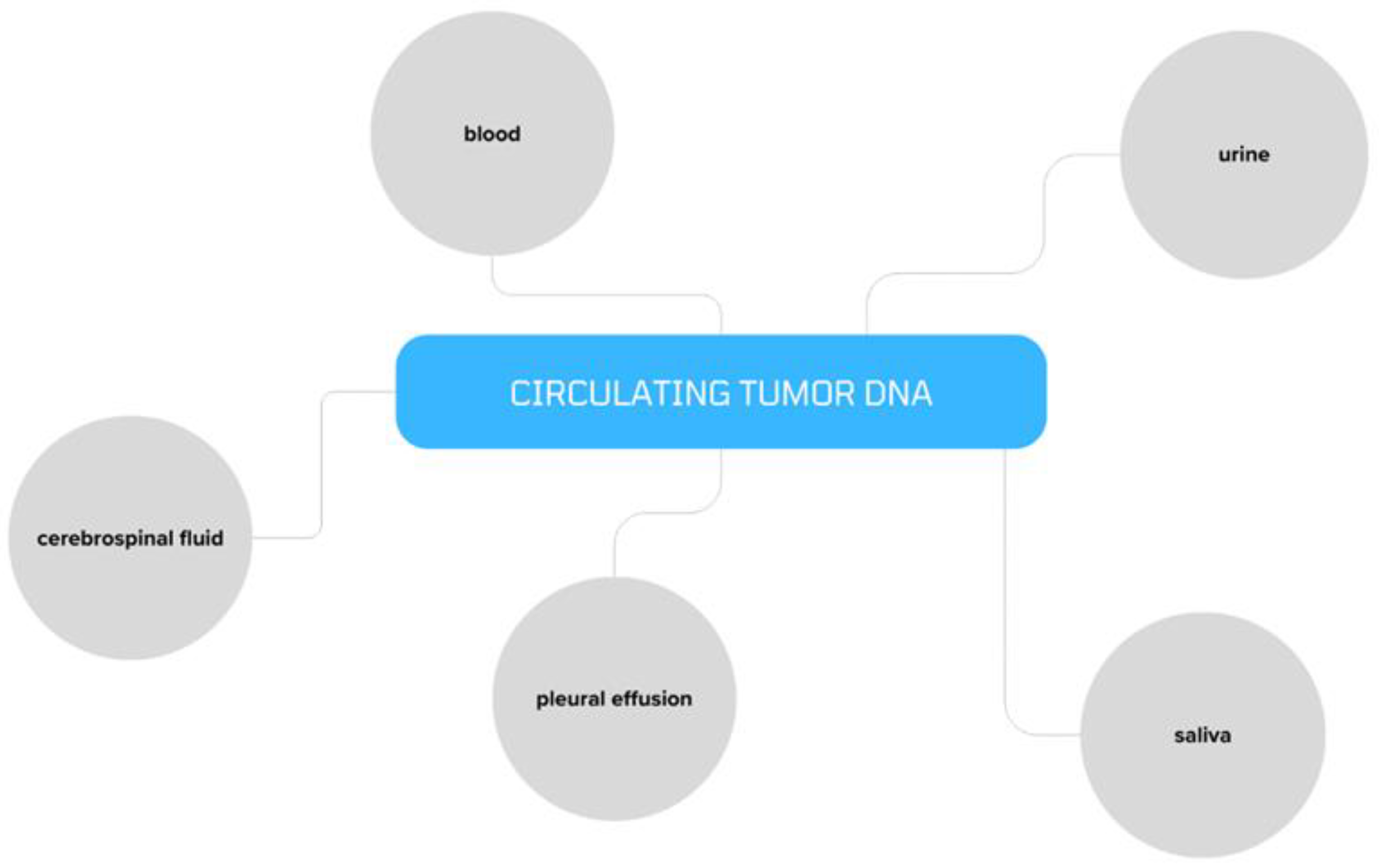 Cancers 16 03117 g001 Cancers 16 03117 g001