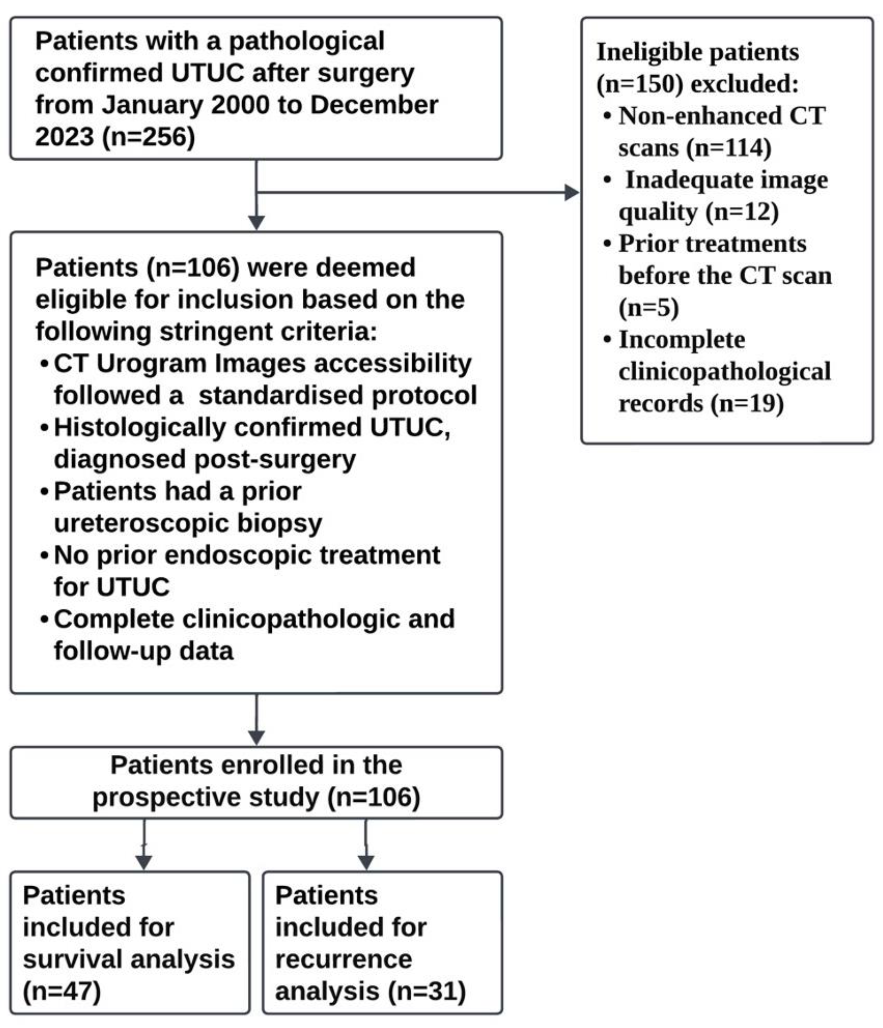 Cancers 16 03119 g001