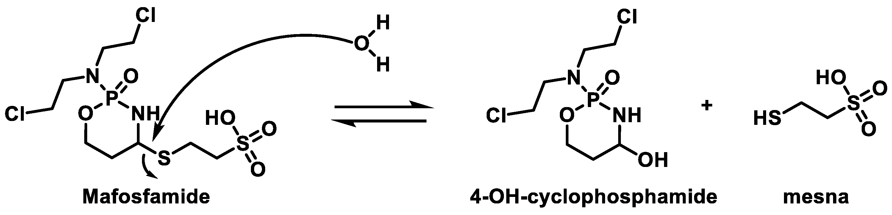 Cancers 16 03123 g012 Cancers 16 03123 g012