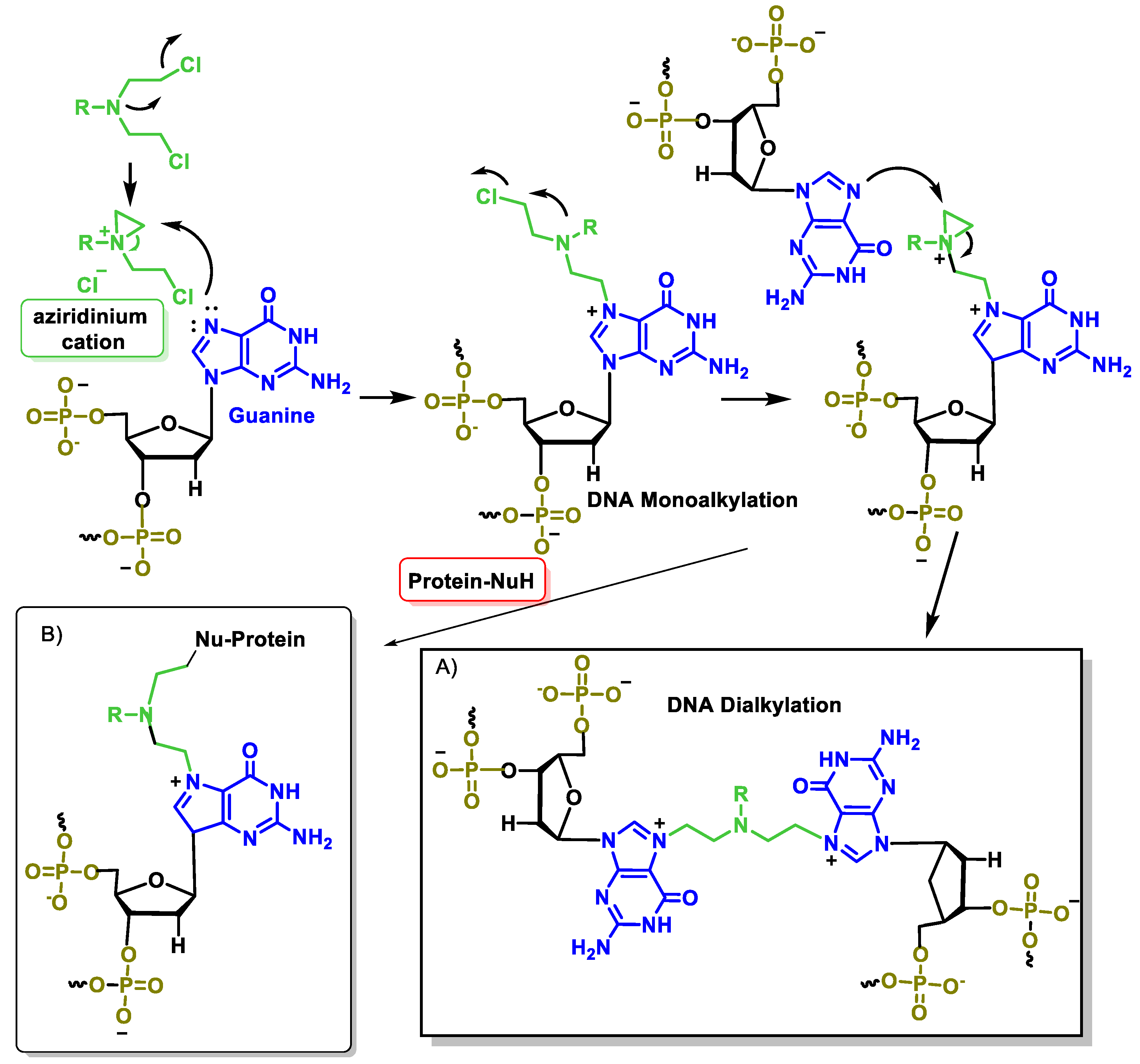 Cancers 16 03123 g022 Cancers 16 03123 g022