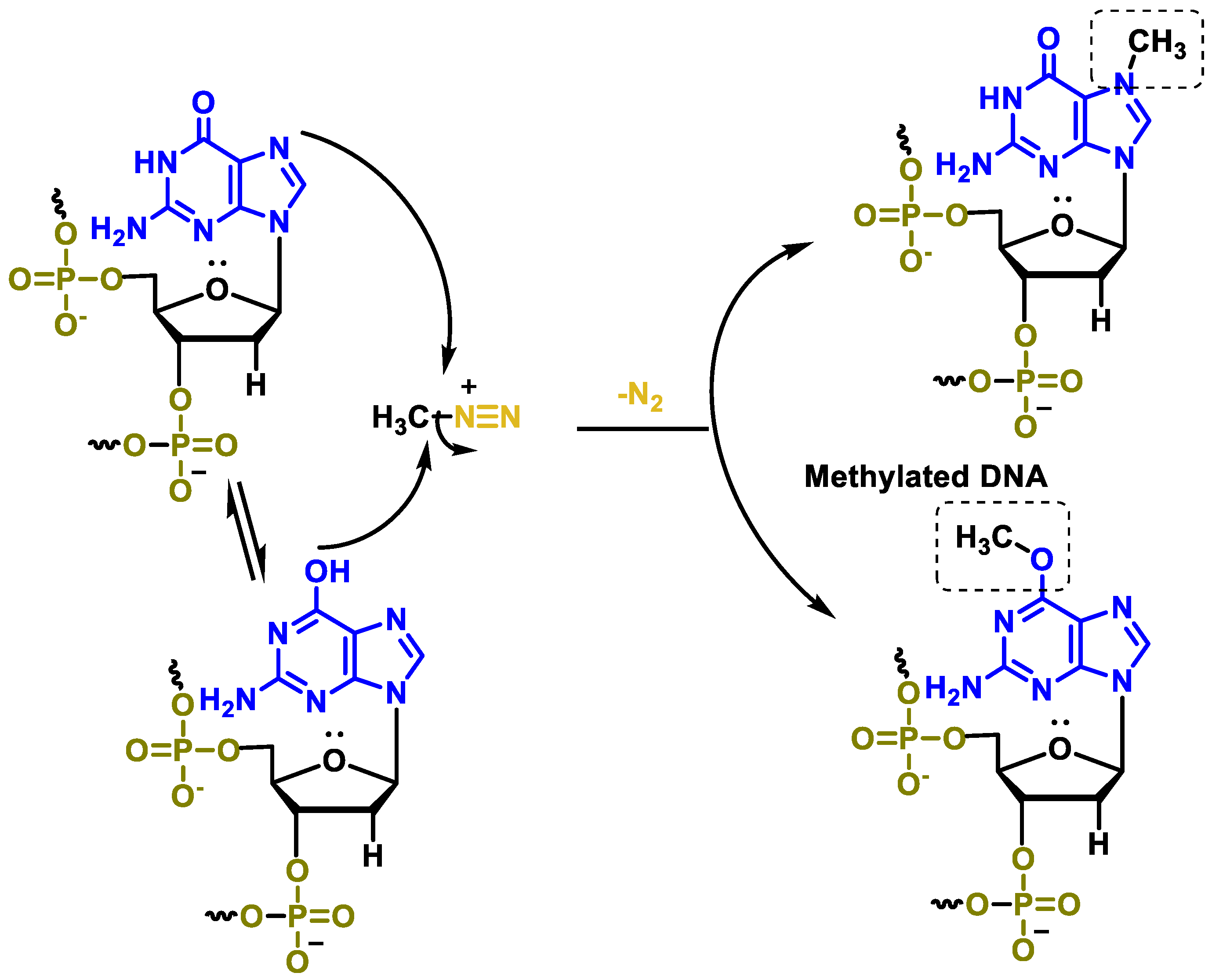 Cancers 16 03123 g045 Cancers 16 03123 g045