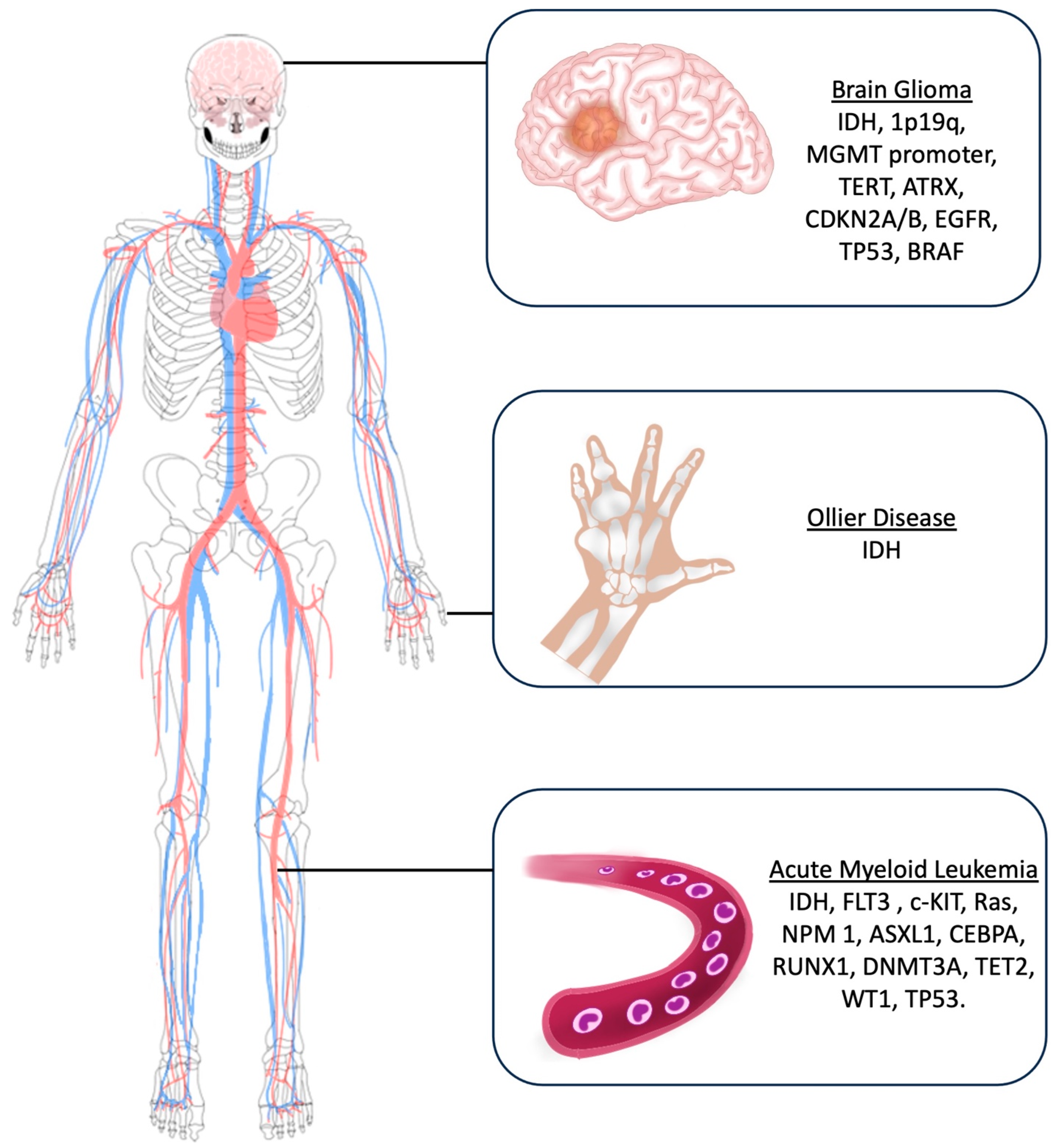 Cancers 16 03125 g003 Cancers 16 03125 g003