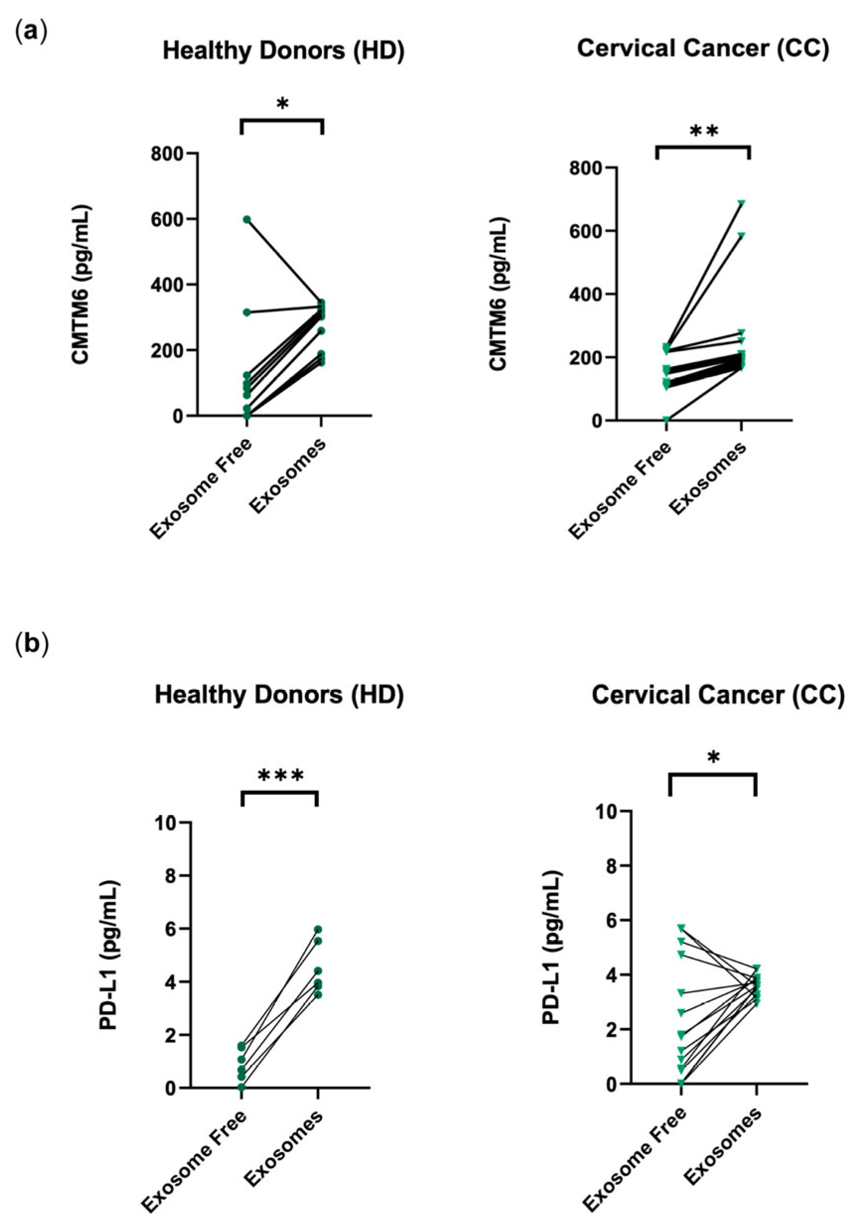 Cancers 16 03126 g002a