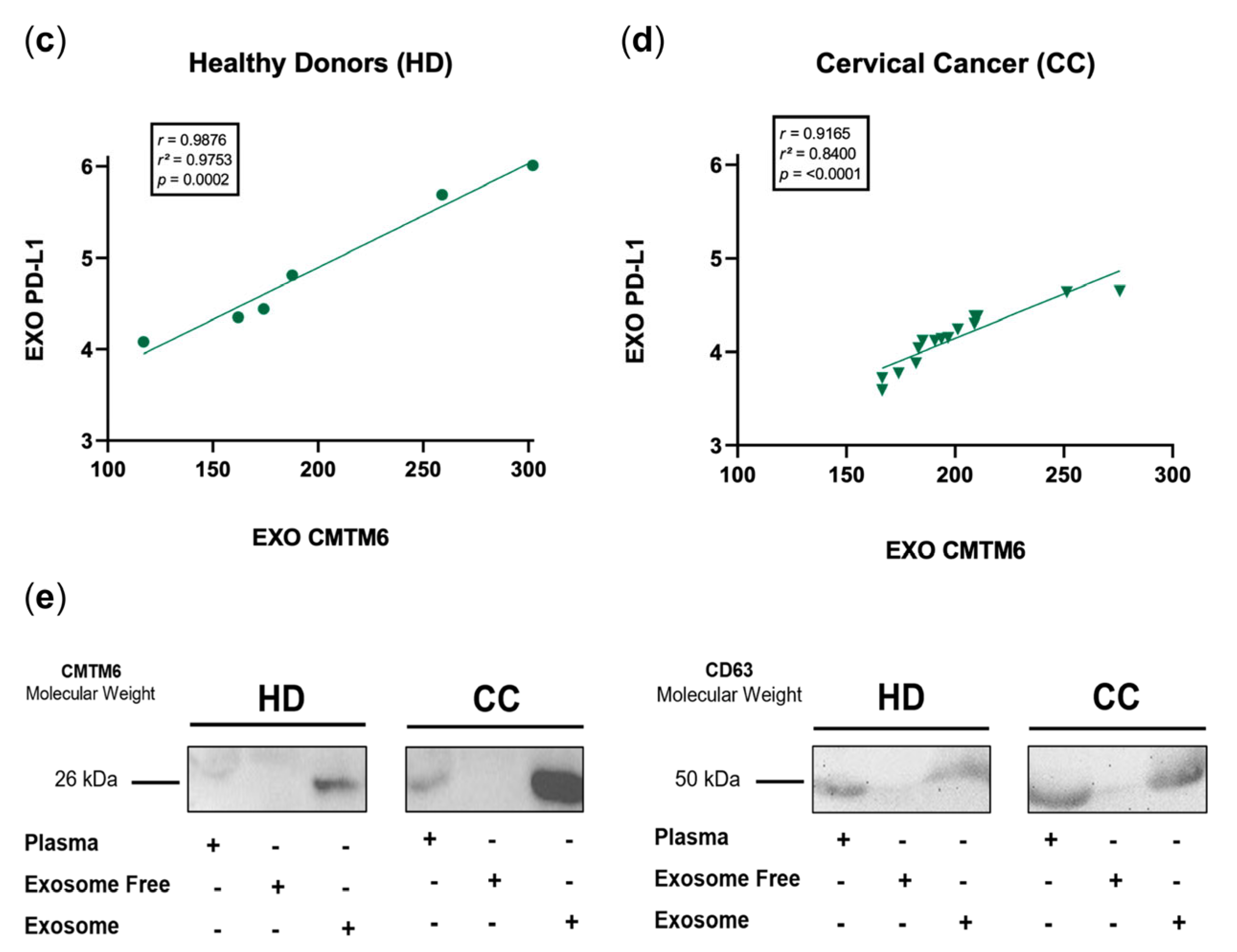 Cancers 16 03126 g002b