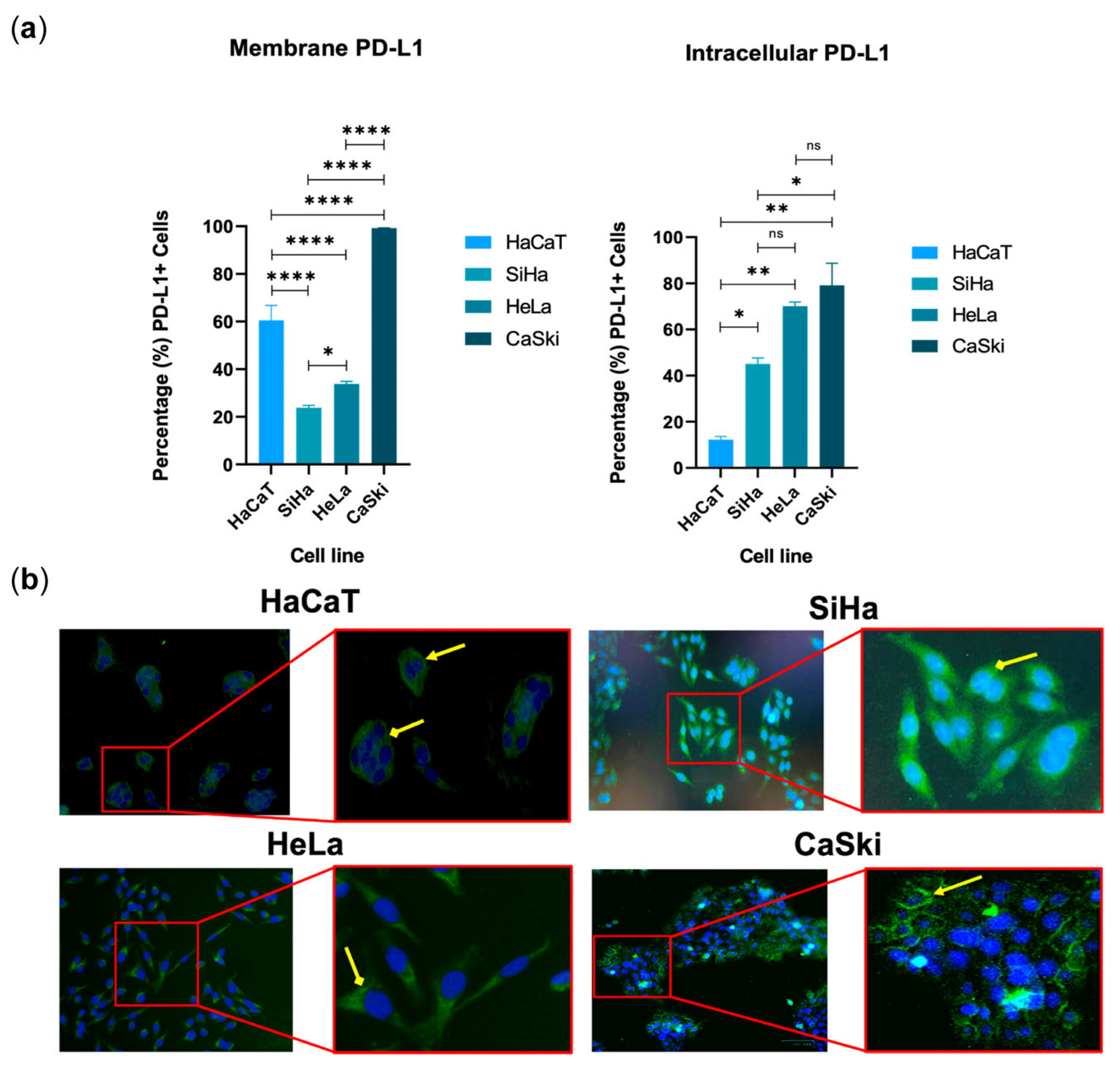 Cancers 16 03126 g005