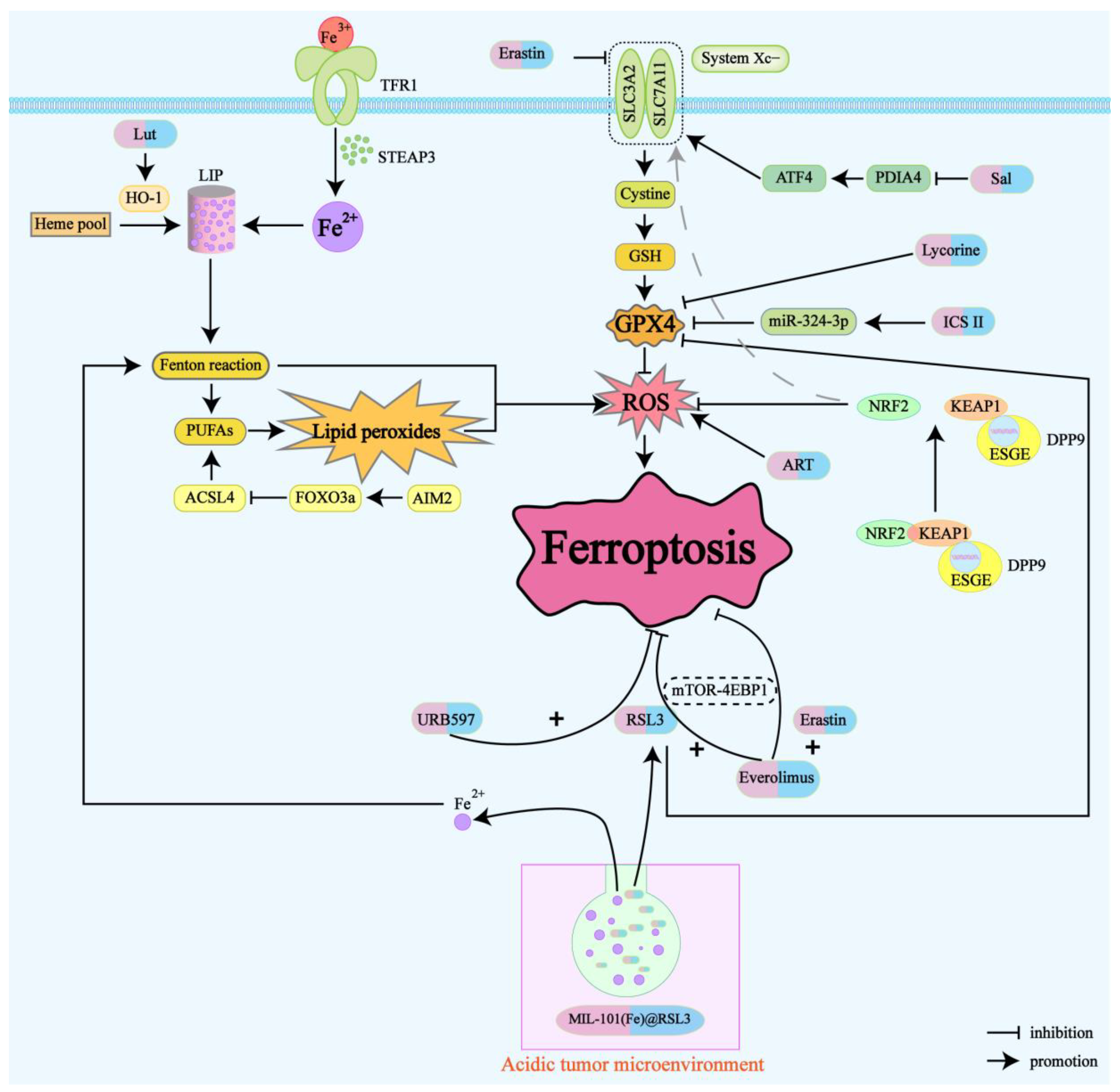 Cancers 16 03131 g002